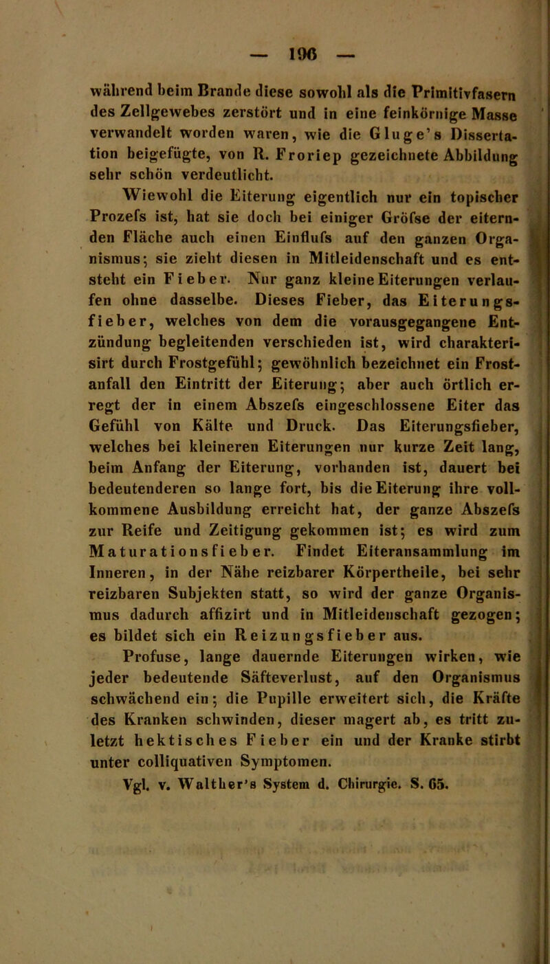 während beim Brande diese sowohl als die Primitivfasern des Zellgewebes zerstört und in eine feinkörnige Masse verwandelt worden waren, wie die Gluge’s Disserta- tion beigefügte, von R. Froriep gezeichnete Abbildung sehr schön verdeutlicht. Wiewohl die Eiterung eigentlich nuv ein topischer Prozefs ist, hat sie doch bei einiger Gröfse der eitern- den Fläche auch einen Einflufs auf den ganzen Orga- nismus ; sie zieht diesen in Mitleidenschaft und es ent- steht ein Fieber. Nur ganz kleine Eiterungen verlau- fen ohne dasselbe. Dieses Fieber, das Eiterungs- fieber, welches von dem die vorausgegangene Ent- zündung begleitenden verschieden ist, wird charakteri- sirt durch Frostgefühl; gewöhnlich bezeichnet ein Frost- anfall den Eintritt der Eiterung; aber auch Örtlich er- regt der in einem Abszefs eingeschlossene Eiter das Gefühl von Kälte und Druck. Das Eiterungsfieber, welches bei kleineren Eiterungen nur kurze Zeit lang, beim Anfang der Eiterung, vorhanden ist, dauert bei bedeutenderen so lange fort, bis die Eiterung ihre voll- kommene Ausbildung erreicht hat, der ganze Abszefs zur Reife und Zeitigung gekommen ist; es wird zum Ma t ur a t i ons fi eb er. Findet Eiteransammlung im Inneren, in der Nähe reizbarer Körpertheile, bei sehr reizbaren Subjekten statt, so wird der ganze Organis- mus dadurch affizirt und in Mitleidenschaft gezogen; es bildet sich ein Reizungsfieber aus. Profuse, lange dauernde Eiterungen wirken, wie jeder bedeutende Säfteverlust, auf den Organismus schwächend ein; die Pupille erweitert sich, die Kräfte des Kranken schwinden, dieser magert ab, es tritt zu- letzt hektisches Fieber ein und der Kranke stirbt unter colliquativen Symptomen.