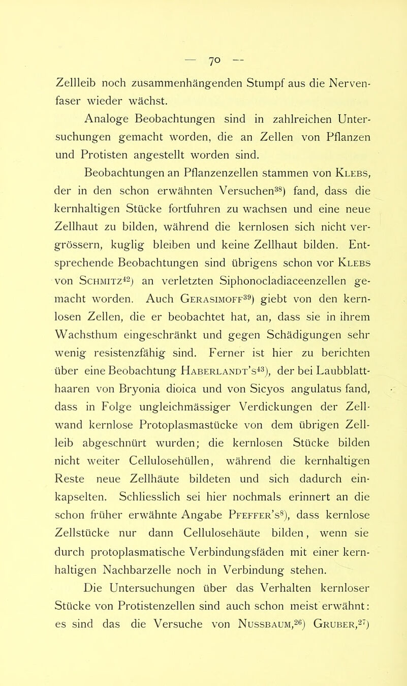 Zellleib noch zusammenhängenden Stumpf aus die Nerven- faser wieder wächst. Analoge Beobachtungen sind in zahlreichen Unter- suchungen gemacht worden, die an Zellen von Pflanzen und Protisten angestellt worden sind. Beobachtungen an Pflanzenzellen stammen von Klebs, der in den schon erwähnten Versuchen38) fand, dass die kernhaltigen Stücke fortfuhren zu wachsen und eine neue Zellhaut zu bilden, während die kernlosen sich nicht ver- grössern, kuglig bleiben und keine Zellhaut bilden. Ent- sprechende Beobachtungen sind übrigens schon vor Klebs von Schmitz42) an verletzten Siphonocladiaceenzellen ge- macht worden. Auch Gerasimoff39) giebt von den kern- losen Zellen, die er beobachtet hat, an, dass sie in ihrem Wachsthum eingeschränkt und gegen Schädigungen sehr wenig resistenzfähig sind. Ferner ist hier zu berichten über eine Beobachtung Haberlandt's43), der bei Laubblatt- haaren von Bryonia dioica und von Sicyos angulatus fand, dass in Folge ungleichmässiger Verdickungen der Zell- wand kernlose Protoplasmastücke von dem übrigen Zell- leib abgeschnürt wurden; die kernlosen Stücke bilden nicht weiter Cellulosehüllen, während die kernhaltigen Reste neue Zellhäute bildeten und sich dadurch ein- kapselten. Schliesslich sei hier nochmals erinnert an die schon früher erwähnte Angabe Pfeffer's8), dass kernlose Zellstücke nur dann Cellulosehäute bilden, wenn sie durch protoplasmatische Verbindungsfäden mit einer kern- haltigen Nachbarzelle noch in Verbindung stehen. Die Untersuchungen über das Verhalten kernloser Stücke von Protistenzellen sind auch schon meist erwähnt: es sind das die Versuche von Nussbaum,26) Gruber,27)