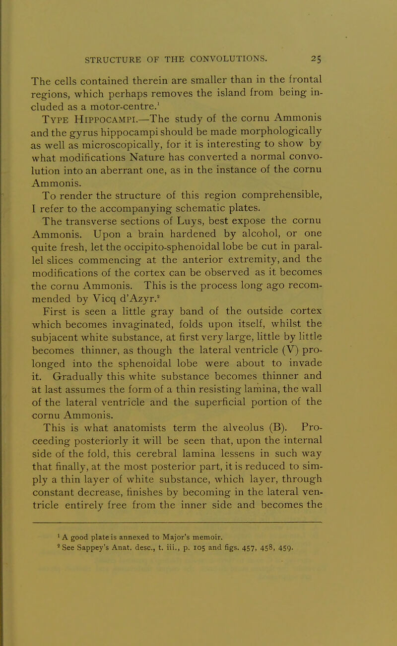 The cells contained therein are smaller than in the frontal regions, which perhaps removes the island from being in- cluded as a motor-centre.' Type Hippocampi.—The study of the cornu Ammonis and the gyrus hippocampi should be made morphologically as well as microscopically, for it is interesting to show by what modifications Nature has converted a normal convo- lution into an aberrant one, as in the instance of the cornu Ammonis. To render the structure of this region comprehensible, I refer to the accompanying schematic plates. The transverse sections of Luys, best expose the cornu Ammonis. Upon a brain hardened by alcohol, or one quite fresh, let the occipito-sphenoidal lobe be cut in paral- lel slices commencing at the anterior extremity, and the modifications of the cortex can be observed as it becomes the cornu Ammonis. This is the process long ago recom- mended by Vicq d'Azyr. First is seen a little gray band of the outside cortex which becomes invaginated, folds upon itself, whilst the subjacent white substance, at first very large, little by little becomes thinner, as though the lateral ventricle (V) pro- longed into the sphenoidal lobe were about to invade it. Gradually this white substance becomes thinner and at last assumes the form of a thin resisting lamina, the wall of the lateral ventricle and the superficial portion of the cornu Ammonis. This is what anatomists term the alveolus (B). Pro- ceeding posteriorly it will be seen that, upon the internal side of the fold, this cerebral lamina lessens in such way that finally, at the most posterior part, it is reduced to sim- ply a thin layer of white substance, which layer, through constant decrease, finishes by becoming in the lateral ven- tricle entirely free from the inner side and becomes the ' A good plate is annexed to Major's memoir. See Sappey's Anat. desc, t. iii., p. 105 and figs. 457, 458, 459.