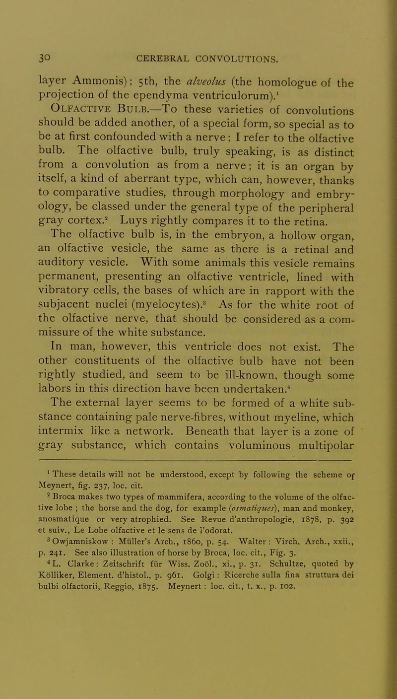 layer Ammonis); 5th, the alveolus (the homologue of the projection of the ependyma ventriculorum).' Olfactive Bulb—To these varieties of convolutions should be added another, of a special form, so special as to be at first confounded with a nerve; I refer to the olfactive bulb. The olfactive bulb, truly speaking, is as distinct from a convolution as from a nerve; it is an organ by itself, a kind of aberrant type, which can, however, thanks to comparative studies, through morphology and embry- ology, be classed under the general type of the peripheral gray cortex.^ Luys rightly compares it to the retina. The olfactive bulb is, in the embryon, a hollow organ, an olfactive vesicle, the same as there is a retinal and auditory vesicle. With some animals this vesicle remains permanent, presenting an olfactive ventricle, lined with vibratory cells, the bases of which are in rapport with the subjacent nuclei (myelocytes).^ As for the white root of the olfactive nerve, that should be considered as a com- missure of the white substance. In man, however, this ventricle does not exist. The other constituents of the olfactive bulb have not been rightly studied, and seem to be ill-known, though some labors in this direction have been undertaken.* The external layer seems to be formed of a white sub- stance containing pale nerve-fibres, without myeline, which intermix like a network. Beneath that layer is a zone of gray substance, which contains voluminous multipolar ' These details will not be understood, except by following the scheme of Meynert, fig. 237, loc. cit. ^ Broca makes two types of mammifera, according to the volume of the olfac- tive lobe ; the horse and the dog, for example {osmatiques), man and monkey, anosmatique or very atrophied. See Revue d'anthropologie, 1878, p. 392 et suiv., Le Lobe olfactive et le sens de i'odorat. ^ Owjamniskow : Miiller's Arch., i860, p. 54. Walter: Virch. Arch., xxii., p. 241. See also illustration of horse by Broca, loc. cit., Fig. 3. *'L. Clarke: Zeitschrifc fiir Wiss. Zo6l., xi., p. 31. Schultze, quoted by KoUiker, Element, d'histol., p. 961. Golgi: Ricerche sulla fina struttura del bulbi olfactorii,. Reggio, 1875. Meynert : loc. cit., t. x., p. 102.