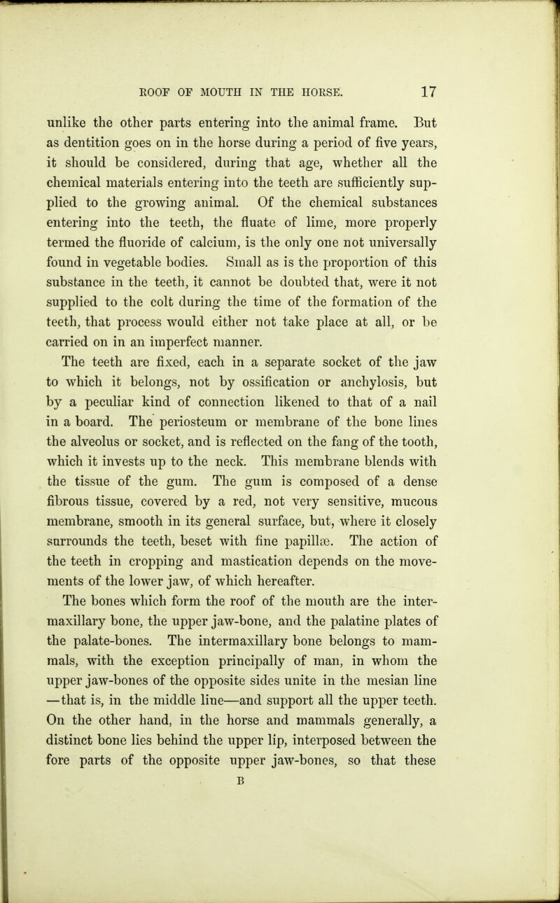 unlike the other parts entering into the animal frame. But as dentition goes on in the horse during a period of five years, it should be considered, during that age, whether all the chemical materials entering into the teeth are sufficiently sup- plied to the growing animal. Of the chemical substances entering into the teeth, the fluate of lime, more properly termed the fluoride of calcium, is the only one not universally found in vegetable bodies. Small as is the proportion of this substance in the teeth, it cannot be doubted that, were it not supplied to the colt during the time of the formation of the teeth, that process would either not take place at all, or be carried on in an imperfect manner. The teeth are fixed, each in a separate socket of the jaw to which it belongs, not by ossification or anchylosis, but by a peculiar kind of connection likened to that of a nail in a board. The periosteum or membrane of the bone lines the alveolus or socket, and is reflected on the fang of the tooth, which it invests up to the neck. This membrane blends with the tissue of the gum. The gum is composed of a dense fibrous tissue, covered by a red, not very sensitive, mucous membrane, smooth in its general surface, but, where it closely surrounds the teeth, beset with fine papillae. The action of the teeth in cropping and mastication depends on the move- ments of the lower jaw, of which hereafter. The bones which form the roof of the mouth are the inter- maxillary bone, the upper jaw-bone, and the palatine plates of the palate-bones. The intermaxillary bone belongs to mam- mals, with the exception principally of man, in whom the upper jaw-bones of the opposite sides unite in the mesian line —that is, in the middle line—and support all the upper teeth. On the other hand, in the horse and mammals generally, a distinct bone lies behind the upper lip, interposed between the fore parts of the opposite upper jaw-bones, so that these B