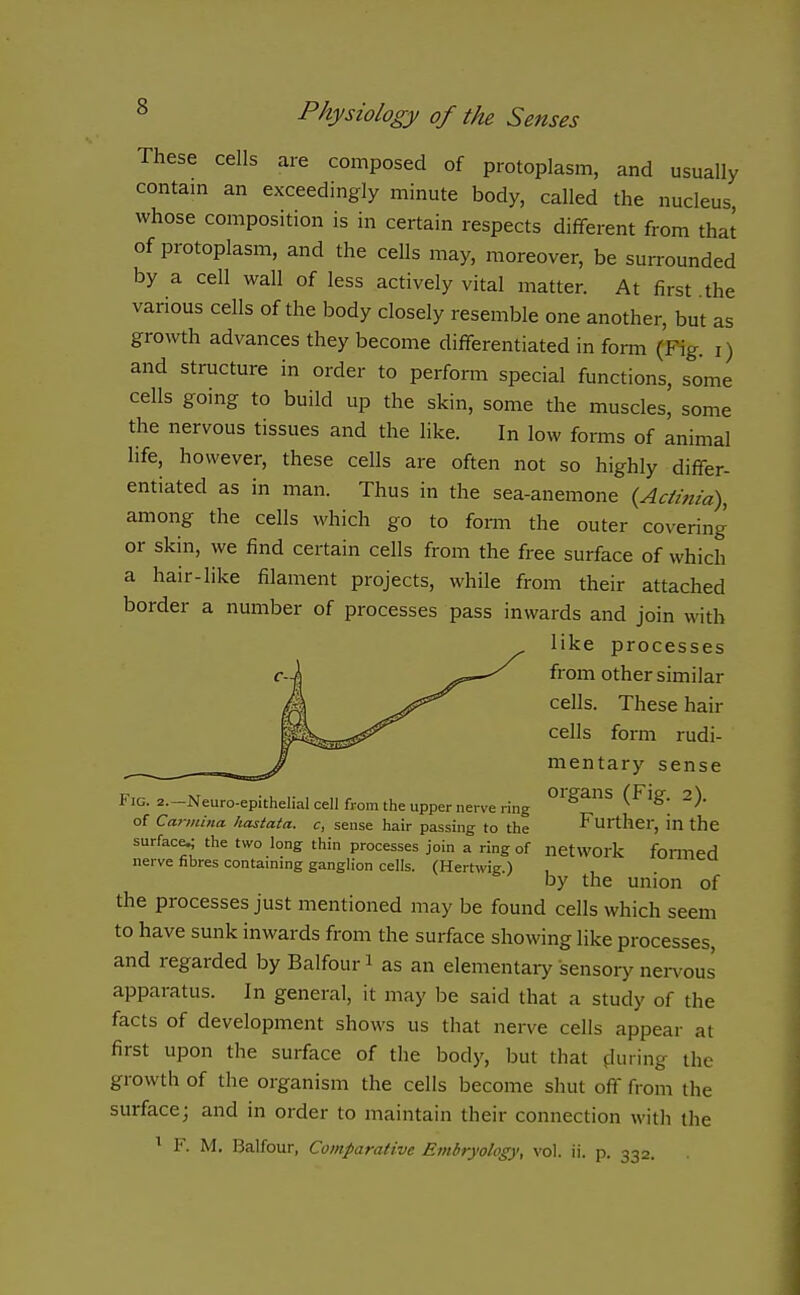 These cells are composed of protoplasm, and usually contam an exceedingly minute body, called the nucleus whose composition is in certain respects different from that of protoplasm, and the cells may, moreover, be surrounded by a cell wall of less actively vital matter. At first the various cells of the body closely resemble one another, but as growth advances they become differentiated in fomi (Pig. i) and structure in order to perform special functions, some cells going to build up the skin, some the muscles, some the nervous tissues and the like. In low forms of animal life, however, these cells are often not so highly differ- entiated as in man. Thus in the sea-anemone {Aciinia), among the cells which go to form the outer covering or skin, we find certain cells from the free surface of which a hair-like filament projects, while from their attached border a number of processes pass inwards and join with like processes from other similar cells. These hair cells form rudi- mentary sense Fig. 2.—Neuro-epithelial cell from the upper nerve ring (^^'§'- 2). of Carmina hastata. c, sense hair passing to the Furthei, in the surface,; the two long thin processes join a ring of network formed nerve fibres containing ganglion cells. (Hertwig.) by the union of the processes just mentioned may be found cells which seem to have sunk inwards from the surface showing like processes, and regarded by Balfour i as an elementary sensory nei-vous apparatus. In general, it may be said that a study of the facts of development shows us that nerve cells appear at first upon the surface of the body, but that fluring the growth of the organism the cells become shut off from the surface; and in order to maintain their connection with the ^ F. M. Balfour, Comparative Embryology, vol. ii. p. 332.