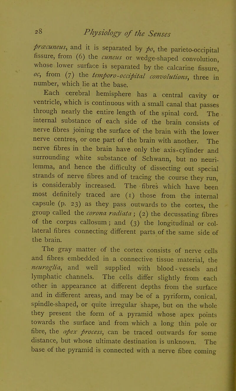 frcEctmeus, and it is separated by po, the parieto-occipital fissure, from (6) the cuneus or wedge-shaped convolution, whose lower surface is separated by the calcarine fissure' oc, from (7) the iemporo-occipital convolutions, three in number, which lie at the base. Each cerebral hemisphere has a central cavity or ventricle, which is continuous with a small canal that passes through nearly the entire length of the spinal cord. The internal substance of each side of the brain consists of nerve fibres joining the surface of the brain with the lower nerve centres, or one part of the brain with another. The nerve fibres in the brain have only the axis-cylinder and surrounding white substance of Schwann, but no neuri- lemma, and hence the difficulty of dissecting out special strands of nerve fibres and of tracing the course they run, is considerably increased. The fibres which have been most definitely traced are (i) those from the internal capsule (p. 23) as they pass outwards to the cortex, the group called the coro7ia radiata; (2) the decussating fibres of the corpus callosum ; and (3) the longitudinal or col- lateral fibres connecting dififerent parts of the same side of the brain. The gray matter of the cortex consists of nerve cells and fibres embedded in a connective tissue material, the neuroglia, and well supplied with blood-vessels and lymphatic channels. The cells differ slightly from each other in appearance at different depths from the surface and in different areas, and may be of a pyriform, conical, spindle-shaped, or quite irregular shape, but on the whole they present the form of a pyramid whose apex points towards the surface and from which a long thin pole or fibre, the apex process, can be traced outwards for some distance, but whose ultimate destination is unlcnown. The base of the pyramid is connected with a nerve fibre coming
