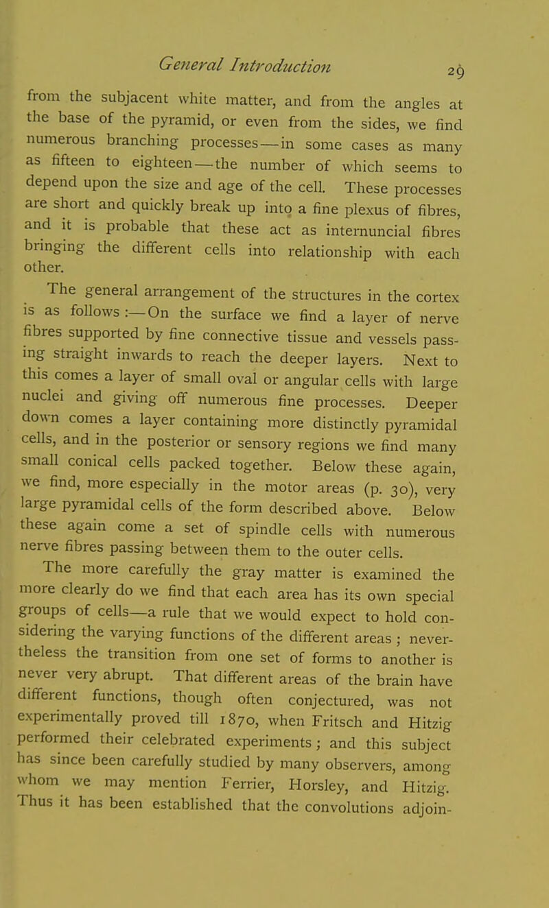 from the subjacent white matter, and from the angles at the base of the pyramid, or even from the sides, we find numerous branching processes—in some cases as many as fifteen to eighteen —the number of which seems to depend upon the size and age of the cell. These processes are short and quickly break up into a fine plexus of fibres, and it is probable that these act as internuncial fibres bringing the different cells into relationship with each other. The general arrangement of the structures in the cortex is as follows :—On the surface we find a layer of nerve fibres supported by fine connective tissue and vessels pass- ing straight inwards to reach the deeper layers. Next to this comes a layer of small oval or angular cells with large nuclei and giving off numerous fine processes. Deeper down comes a layer containing more distinctly pyramidal cells, and in the posterior or sensory regions we find many small conical cells packed together. Below these again, we find, more especially in the motor areas (p. 30), very large pyramidal cells of the form described above. Below these again come a set of spindle cells with numerous nerve fibres passing between them to the outer cells. The more carefully the gray matter is examined the more clearly do we find that each area has its own special groups of cells—a rule that we would expect to hold con- sidering the varying functions of the different areas ; never- theless the transition from one set of forms to another is never very abrupt. That different areas of the brain have different functions, though often conjectured, was not experimentally proved till 1870, when Fritsch and Hitzig performed their celebrated experiments; and this subject has since been carefully studied by many observers, among whom we may mention Ferrier, Horsley, and Hitzig! Thus it has been established that the convolutions adjoin-