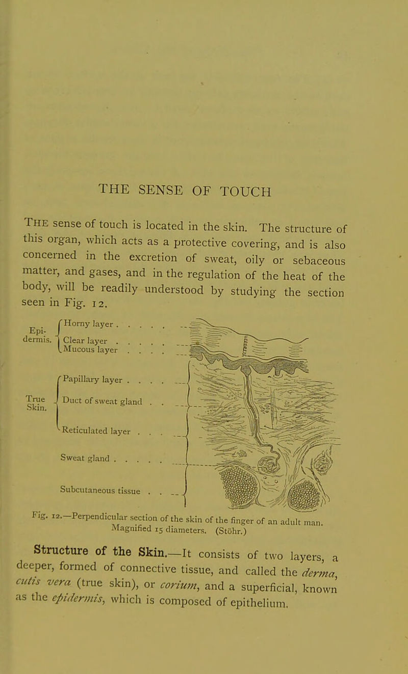 The sense of touch is located in the skin. The structure of this organ, which acts as a protective covering, and is also concerned in the excretion of sweat, oily or sebaceous matter, and gases, and in the regulation of the heat of the body, will be readily understood by studying the section seen in Fig. 12. Epi- dermis, True Skin. r Horny layer , . Clear layer . UMucous layer ' Papillary layer . . Duct of sweat gland • Reticulated layer . Sweat gland . . . Subcutaneous tissue Fig. I2.-Perpendicular section of the skin of tiie finger of an adult mam Magnified 15 diameters. (Stohr.) Structure of the Skin.—It consists of two layers, a deeper, formed of connective tissue, and called the derma cutis vera (true skin), or corium, and a superficial, known as the epidermis, which is composed of epithelium.