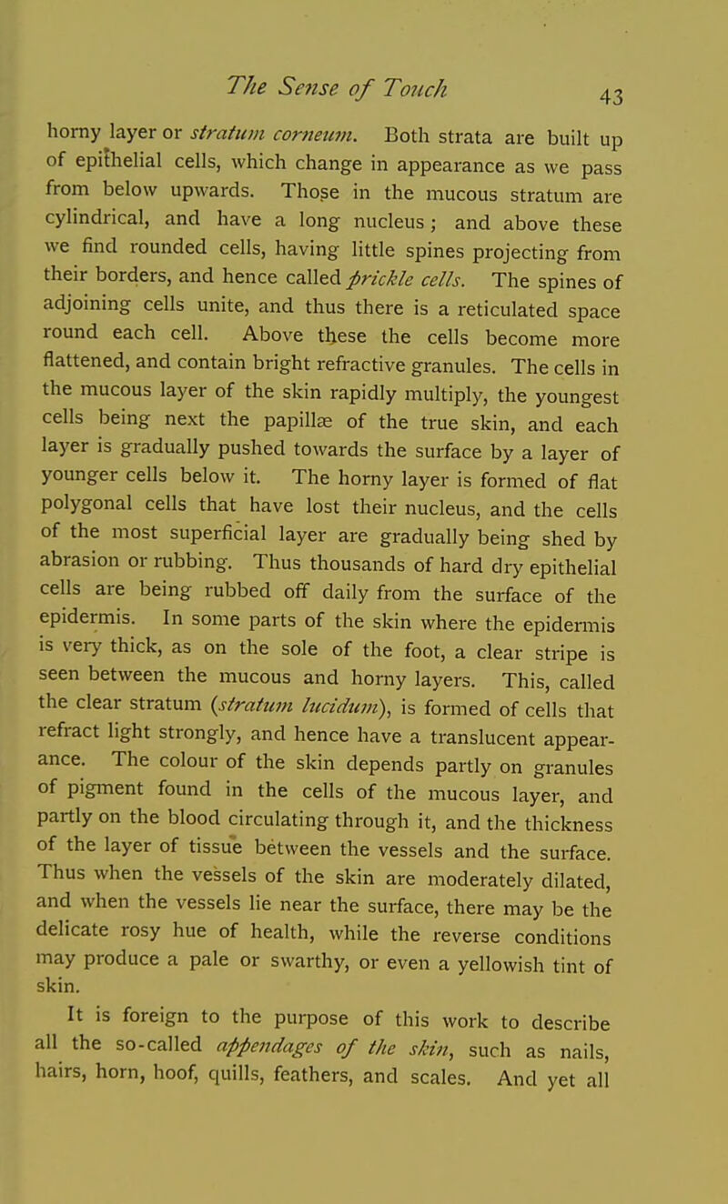 horny layer or stratum cornetmi. Both strata are built up of epithelial cells, which change in appearance as we pass from below upwards. Tho.se in the mucous stratum are cylindrical, and have a long nucleus; and above these we find rounded cells, having little spines projecting from their borders, and hence called prickle cells. The spines of adjoining cells unite, and thus there is a reticulated space round each cell. Above these the cells become more flattened, and contain bright refractive granules. The cells in the mucous layer of the skin rapidly multiply, the youngest cells being next the papillae of the true skin, and each layer is gradually pushed towards the surface by a layer of younger cells below it. The homy layer is formed of flat polygonal cells that have lost their nucleus, and the cells of the most superficial layer are gradually being shed by abrasion or rubbing. Thus thousands of hard dry epithelial cells are being rubbed off daily from the surface of the epidermis. In some parts of the skin where the epidermis is very thick, as on the sole of the foot, a clear stripe is seen between the mucous and horny layers. This, called the clear stratum {stratum lucidtcm), is formed of cells that refiract light strongly, and hence have a translucent appear- ance. The colour of the skin depends partly on granules of pigment found in the cells of the mucous layer, and partly on the blood circulating through it, and the thickness of the layer of tissue between the vessels and the surface. Thus when the vessels of the skin are moderately dilated, and when the vessels lie near the surface, there may be the delicate rosy hue of health, while the reverse conditions may produce a pale or swarthy, or even a yellowish tint of skin. It is foreign to the purpose of this work to describe all the so-called appendages of the skin, such as nails, hairs, horn, hoof, quills, feathers, and scales. And yet all