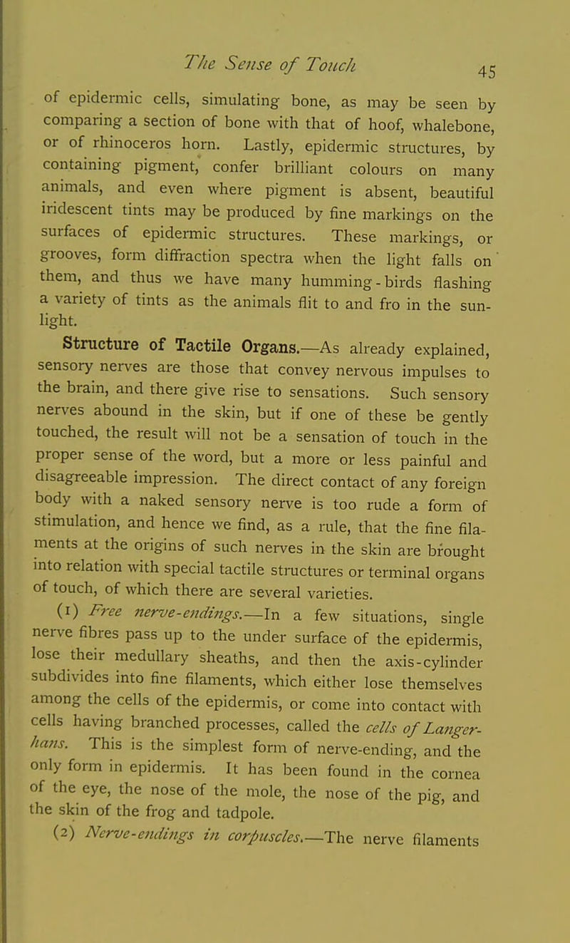 of epidermic cells, simulating bone, as may be seen by comparing a section of bone with that of hoof, whalebone, or of rhinoceros horn. Lastly, epidermic structures, by containing pigment, confer brilliant colours on many animals, and even where pigment is absent, beautiful iridescent tints may be produced by fine markings on the surfaces of epidermic structures. These markings, or grooves, form diffraction spectra when the light falls on them, and thus we have many humming-birds flashing a variety of tints as the animals flit to and fro in the sun- light. Structure of Tactile Organs.—As already explained, sensory nerves are those that convey nervous impulses to the brain, and there give rise to sensations. Such sensory nerves abound in the skin, but if one of these be gently touched, the result will not be a sensation of touch in the proper sense of the word, but a more or less painful and disagreeable impression. The direct contact of any foreign body with a naked sensory nerve is too rude a form of stimulation, and hence we find, as a rule, that the fine fila- ments at the origins of such nerves in the skin are brought into relation with special tactile structures or terminal organs of touch, of which there are several varieties. (1) Free nerve-e7idings.—In a few situations, single nerve fibres pass up to the under surface of the epidermis, lose their medullary sheaths, and then the axis-cyhnder subdivides into fine filaments, which either lose themselves among the cells of the epidermis, or come into contact with cells having branched processes, called the cells of La?iger- hafis. This is the simplest form of nerve-ending, and\he only form in epidemiis. It has been found in the cornea of the eye, the nose of the mole, the nose of the pig, and the skin of the frog and tadpole. (2) Nerve-etulings in corpuscles—The nerve filaments