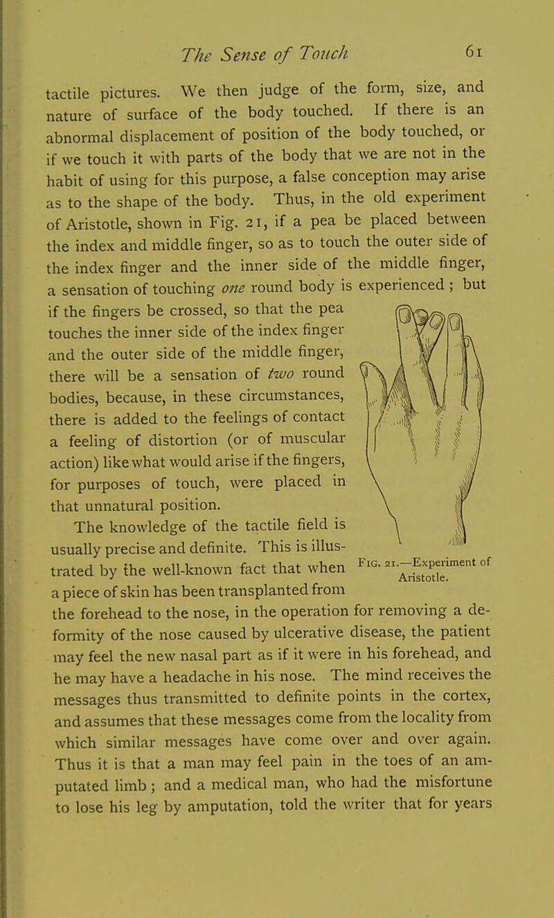 tactile pictures. We then judge of the form, size, and nature of surface of the body touched. If there is an abnormal displacement of position of the body touched, or if we touch it with parts of the body that we are not in the habit of using for this purpose, a false conception may arise as to the shape of the body. Thus, in the old experiment of Aristotle, shown in Fig. 21, if a pea be placed between the index and middle finger, so as to touch the outer side of the index finger and the inner side of the middle finger, a sensation of touching one round body is experienced ; but if the fingers be crossed, so that the pea touches the inner side of the index finger and the outer side of the middle finger, there will be a sensation of two round bodies, because, in these circumstances, there is added to the feelings of contact a feeling of distortion (or of muscular action) like what would arise if the fingers, for purposes of touch, were placed in that unnatural position. The knowledge of the tactile field is usually precise and definite. This is illus- trated by the well-known fact that when a piece of skin has been transplanted from the forehead to the nose, in the operation for removing a de- formity of the nose caused by ulcerative disease, the patient may feel the new nasal part as if it were in his forehead, and he may have a headache in his nose. The mind receives the messages thus transmitted to definite points in the cortex, and assumes that these messages come from the locality from which similar messages have come over and over again. Thus it is that a man may feel pain in the toes of an am- putated limb ; and a medical man, who had the misfortune to lose his leg by amputation, told the writer that for years Fig. 21.—Experiment of Aristotle.