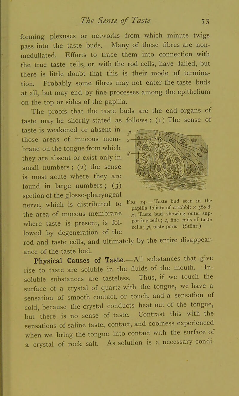 forming plexuses or networks from which minute twigs pass into the taste buds. Many of these fibres are non- medullated. Efforts to trace them into connection with the true taste cells, or with the rod cells, have failed, but there is little doubt that this is their mode of termina- tion. Probably some fibres may not enter the taste buds at all, but may end by fine processes among the epithelium on the top or sides of the papilla. The proofs that the taste buds are the end organs of taste maybe shortly stated as follows: (i)The sense of taste is weakened or absent in those areas of mucous mem- brane on the tongue from which they are absent or exist only in small numbers ; (2) the sense is most acute where they are found in large numbers; (3) section of the glosso-pharyngeal nerve, which is distributed to the area of mucous membrane where taste is present, is fol- lowed by degeneration of the rod and taste cells, and ultimately by the entire disappear- ance of the taste bud. Physical Causes of Taste.—All substances that give rise to taste are soluble in the fluids of the mouth. In- soluble substances are tasteless. Thus, if we touch the surface of a crystal of quartz with the tongue, we have a sensation of smooth contact, or touch, and a sensation of cold, because the crystal conducts heat out of the tongue, but 'there is no sense of taste. Contrast this with the sensations of saline taste, contact, and coolness experienced when we bring the tongue into contact with the surface of a crystal of rock salt. As solution is a necessary condi- FiG. 24. — Taste bud seen in the papilla foliata of a rabbit X 560 d. g, Taste bud, showing outer sup- porting cells ; s, fine ends of taste cells ; taste pore. (Stohr.)