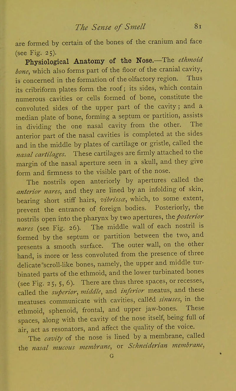 are formed by certain of the bones of the cranium and face (see Fig. 25). Physiological Anatomy of the Nose—The ethmoid bone, which also forms part of the floor of the cranial cavity, is concerned in the formation of the olfactory region. Thus its cribriform plates fonn the roof; its sides, which contain numerous cavities or cells formed of bone, constitute the convoluted sides of the upper part of the cavity; and a median plate of bone, forming a septum or partition, assists in dividing the one nasal cavity from the other. The anterior part of the nasal cavities is completed at the sides and in the middle by plates of cartilage or gristle, called the nasal cartilages. These cartilages are firmly attached to the margin of the nasal aperture seen in a skull, and they give form and firmness to the visible part of the nose. The nostrils open anteriorly by apertures called the anterior nares, and they are lined by an infolding of skin, bearing short stiff hairs, vibrissa, which, to some extent, prevent the entrance of foreign bodies. Posteriorly, the nostrils open into the pharynx by two apertures, Xht posterior nares (see Fig. 26). The middle wall of each nostril is formed by the septum or partition between the two, and presents a smooth surface. The outer wall, on the other hand, is more or less convoluted from the presence of three delicate-scroll-like bones, namely, the upper and middle tur- binated parts of the ethmoid, and the lower turbinated bones (see Fig. 2 5, 5, 6). There are thus three spaces, or recesses, called the superior, middle, and inferior meatus, and these meatuses communicate with cavities, called sinuses, in the ethmoid, sphenoid, frontal, and upper jaw-bones. These spaces, along with the cavity of the nose itself, being full of air, act as resonators, and affect the quality of the voice. The cavity of the nose is lined by a membrane, called the nasal mucous membrane, or Schneiderian membrane, G