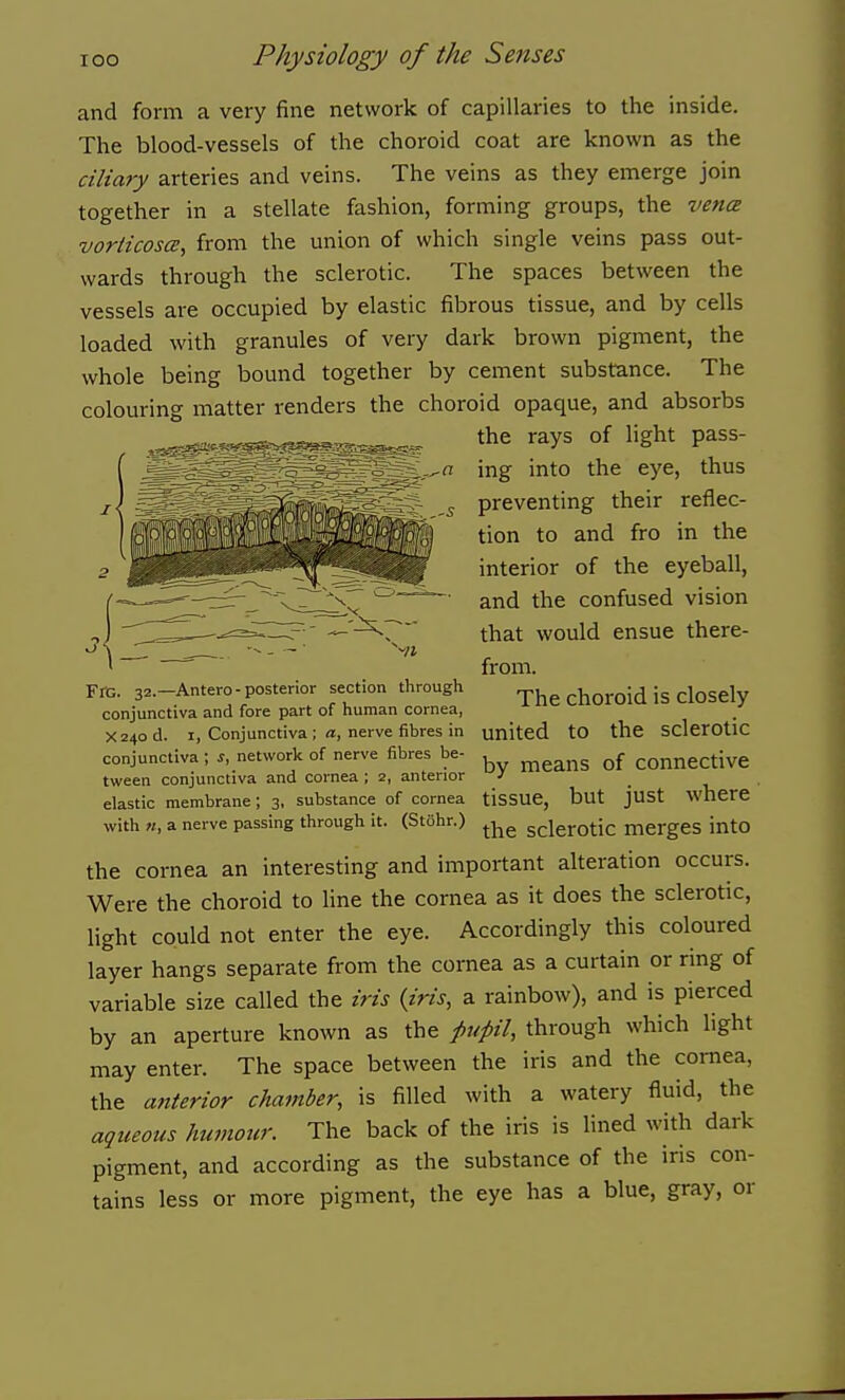 and form a very fine network of capillaries to the inside. The blood-vessels of the choroid coat are known as the ciliary arteries and veins. The veins as they emerge join together in a stellate fashion, forming groups, the vence voriicosce, from the union of which single veins pass out- wards through the sclerotic. The spaces between the vessels are occupied by elastic fibrous tissue, and by cells loaded with granules of very dark brown pigment, the whole being bound together by cement substance. The colouring matter renders the choroid opaque, and absorbs ^ the rays of light pass- ■..^_,^=rf=;=;w=r'=^^?-^5-e^ _ jj^^ ^j^g gyg^ jj^us preventing their reflec- tion to and fro in the interior of the eyeball, and the confused vision that would ensue there- from. Fro. 32.-Antero-posterior section through The choroid is closely conjunctiva and fore part of human cornea, X24od. I, Conjunctivanerve fibres in united tO the SClerOtlC conjunctiva ; s, network of nerve fibres be- ^^^^s of connective tween conjunctiva and cornea; 2, anterior J _ elastic membrane; 3, substance of cornea tisSUe, but just where with «, a nerve passing through it. (Stohr.) ^j^^ sclerOtic merges into the cornea an interesting and important alteration occurs. Were the choroid to line the cornea as it does the sclerotic, light could not enter the eye. Accordingly this coloured layer hangs separate from the cornea as a curtain or ring of variable size called the iris {iris, a rainbow), and is pierced by an aperture known as the pupil, through which hght may enter. The space between the iris and the cornea, the anterior chamber, is filled with a watery fluid, the aqueous humour. The back of the iris is lined with dark pigment, and according as the substance of the iris con- tains less or more pigment, the eye has a blue, gray, or