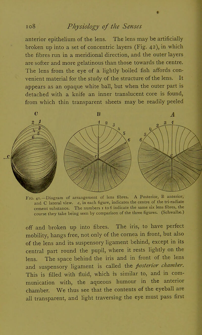 anterior epithelium of the lens. The lens may be artificially broken up into a set of concentric layers (Fig. 42), in which the fibres run in a meridional direction, and the outer layers are softer and more gelatinous than those towards the centre. The lens from the eye of a lightly boiled fish affords con- venient material for the study of the structure of the lens. It appears as an opaque white ball, but when the outer part is detached with a knife an inner translucent core is found, from which thin transparent sheets may be readily peeled Fig. 41.—Diagram of arrangement of lens fibres. A Posterior, B anterior, and C lateral view, c, in each figure, indicates the centre of the tri-radiate cement substance. The numbers i to 6 indicate the same six lens fibres, the course they take being seen by comparison of the three figures. (Schwalbe.) off and broken up into fibres. The iris, to have perfect mobility, hangs free, not only of the cornea in front, but also of the lens and its suspensory ligament behind, except in its central part round the pupil, where it rests lightly on the lens. The space behind the iris and in front of the lens and suspensory ligament is called the posterior chamber. This is filled with fluid, which is similar to, and in com- munication with, the aqueous humour in the anterior chamber. We thus see that the contents of the eyeball are all transparent, and light traversing the eye must pass first