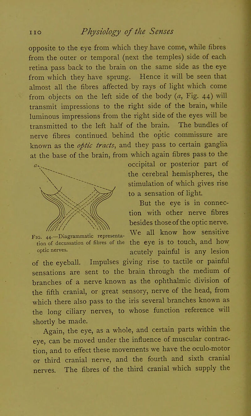 opposite to the eye from which they have come, while fibres from the outer or temporal (next the temples) side of each retina pass back to the brain on the same side as the eye from which they have sprung. Hence it will be seen that almost all the fibres affected by rays of light which come from objects on the left side of the body {a, Fig. 44) will transmit impressions to the right side of the brain, while luminous impressions from the right side of the eyes will be transmitted to the left half of the brain. The bundles of nerve fibres continued behind the optic commissure are known as the optic tracts, and they pass to certain ganglia at the base of the brain, from which again fibres pass to the occipital or posterior part of the cerebral hemispheres, the stimulation of which gives rise to a sensation of light. But the eye is in connec- tion with other nerve fibres besides those of the optic nerve. We all know how sensitive the eye is to touch, and how acutely painful is any lesion of the eyeball. Impulses giving rise to tactile or painful sensations are sent to the brain through the medium of branches of a nerve known as the ophthalmic division of the fifth cranial, or great sensory, nerve of the head, from which there also pass to the iris several branches known as the long ciliary nerves, to whose function reference will shortly be made. Again, the eye, as a whole, and certain parts within the eye, can be moved under the influence of muscular contrac- tion, and to effect these movements we have the oculo-motor or third cranial nerve, and the fourth and sixth cranial nerves. The fibres of the third cranial which supply the Fig. 44.—Diagrammatic representa- tion of decussation of fibres of the optic nerves.