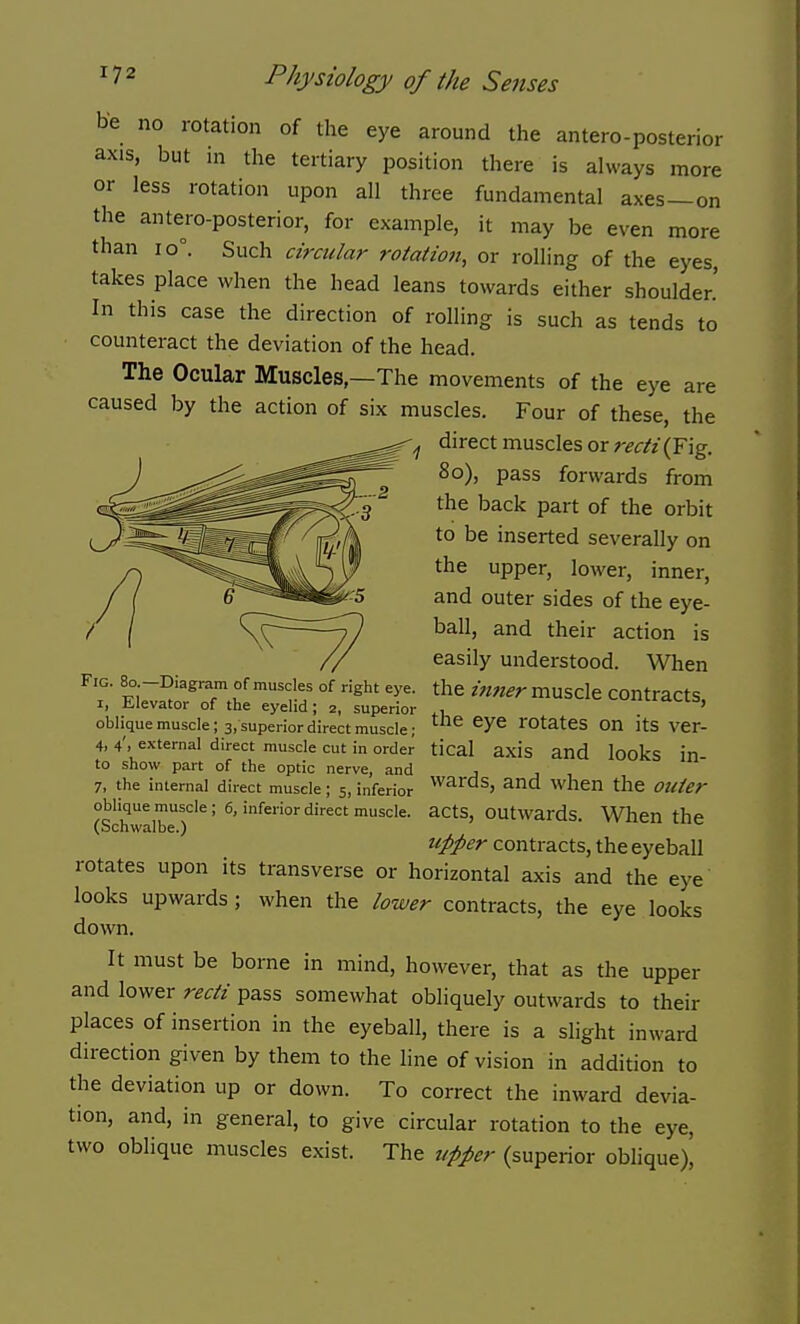 be no rotation of the eye around the antero-posterior axis, but in the tertiary position there is always more or less rotation upon all three fundamental axes—on the antero-posterior, for example, it may be even more than 10°. Such circular rotation, or rolling of the eyes, takes place when the head leans towards either shoulder.' In this case the direction of rolling is such as tends to counteract the deviation of the head. The Ocular Muscles,—The movements of the eye are caused by the action of six muscles. Four of these, the direct muscles or recti {J\g. 80), pass forwards from the back part of the orbit to be inserted severally on the upper, lower, inner, and outer sides of the eye- ball, and their action is easily understood. When F,G. 80 -Diagram of muscles of right eye. the inner muscle Contracts I, Elevator of the eyelid; 2, superior ' oblique muscle; 3, superior direct muscle; ^ rotates On itS ver- 4, 4'. external direct muscle cut in order tical axis and looks in to show part of the optic nerve, and , 7, the internal direct muscle; 5, inferior ^^^rdS, and when the Outer oblique muscle ; 6, inferior direct muscle. actS, OUtwards. When the (Schwalbe.) ' upper contracts, the eyeball rotates upon its transverse or horizontal axis and the eye' looks upwards; when the lower contracts, the eye looks down. It must be borne in mind, however, that as the upper and lower recti pass somewhat obliquely outwards to their places of insertion in the eyeball, there is a slight inward direction given by them to the line of vision in addition to the deviation up or down. To correct the inward devia- tion, and, in general, to give circular rotation to the eye, two oblique muscles exist. The upper (superior oblique).