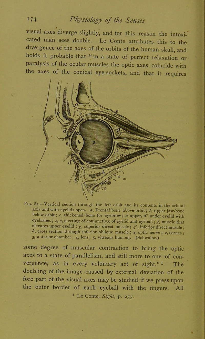 visual axes diverge slightly, and for this reason the intoxi-' cated man sees double. Le Conte attributes this to the divergence of the axes of the orbits of the human skull, and holds it probable that  in a state of perfect relaxation or paralysis of the ocular muscles the optic axes coincide with the axes of the conical eye-sockets, and that it requires Fig. 8i.—Vertical section througli the left orbit and its contents in the orbital axis and with eyelids open, a, Frontal bone above orbit; b, upper jaw-bone below orbit; c, thickened bone for eyebrow ; d upper, d' under eyelid with eyelashes ; e, e, meeting of conjunctive of eyelid and eyeball; /, muscle that elevates upper eyelid ; g, superior direct muscle ; g', inferior direct muscle ; h, cross section through inferior oblique muscle ; i, optic nerve ; 2, cornea ; 3, anterior chamber ; 4, lens; 5, vitreous humour. (Schwalbe.) some degree of muscular contraction to bring the optic axes to a state of parallelism, and still more to one of con- vergence, as in every voluntary act of sight. i The doubling of the image caused by external deviation of the fore part of the visual axes may be studied if we press upon the outer border of each eyeball with the fingers. All ■* Le Conte, Sight, p. 255.
