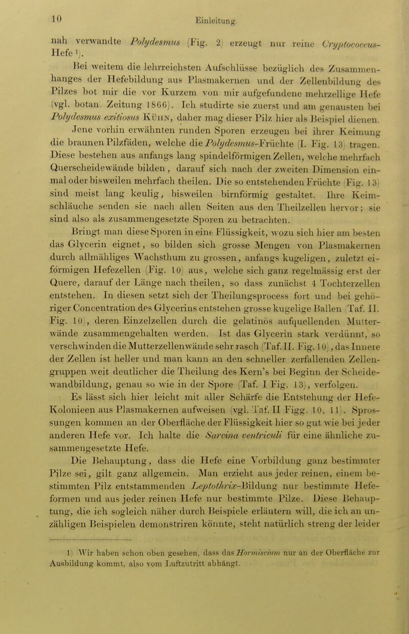 lÜ nah verwandte Polydesmus (Fig. 2; erzeugt nur reine Cruntococms- Hefe 1). l^ei weitem die lehrreichsten Aufschlüsse bezüglich des Zusammen- hanges der Hefebilduug aus Plasmakernen und der Zellenbildung des Pilzes bot mir die vor Kurzem von mir aufgefundene mehrzellige Hefe (vgl. botan. Zeitung 186Gj. Ich studirte sie zuerst und am genausten bei Polydesmus exitiosus Kühn, daher mag dieser Pilz hier als lieispiel dienen. Jene vorhin erwähnten runden Sporen erzeugen bei ihrer Keimung die braunen Pilzfäden, welche däe Polydesinus-Yxüchte (I. Fig. 13 , tragen. Diese bestehen aus anfangs lang spindelförmigen Zellen, welche mehrfach Querscheidewände bilden, darauf sich nach der zweiten Dimension ein- mal oder bisweilen mehrfach theilen. Die so entstehenden Früchte Fig. 13) sind meist lang keuHg, bisweilen birnfdrmig gestaltet. Ihre Keim- schläuche senden sie nach allen Seiten aus den Theilzellen hervor; sie sind also als zusammengesetzte Sporen zu betrachten. Bringt man diese Sporen in eine Flüssigkeit, wozu sich hier am besten das Glycerin eignet, so bilden sich grosse Mengen von Plasmakernen durch allmähliges Wachsthum zu grossen, anfangs kugeligen, zuletzt ei- förmigen Hefezellen (Fig. 10) aus, welche sich ganz regelmässig erst der Quere, darauf der Länge nach theilen, so dass zunächst 4 Tochterzellen entstehen. In diesen setzt sich der Theilungsprocess fort und bei gehö- riger Concentration des Glycerins entstehen grosse kugelige Ballen Taf. II. Fig. 10), deren Einzel Zellen durch die gelatinös aufquellenden Mutter- wände zusammengehalten werden. Ist das Glycerin stark verdünnt, so verschwinden die Mutterzellenwände sehr rasch (Taf. II. Fig. 10], das Innere der Zellen ist heller und man kann an den schneller zerfallenden Zellen- gruppen weit deutlicher die Theilung des Kern's bei Beginn der Scheide- wandbildung, genau so wie in der Spore (Taf. I Fig. 13), verfolgen. Es lässt sich hier leicht mit aller Schärfe die Entstehung der Hefe- Kolonieen aus Plasmakernen aufweisen (vgl. Taf. II Figg. 10. 11). Spros- sungen kommen an der Oberfläche der Flüssigkeit hier so gut wie bei jeder anderen Hefe vor. Ich halte die Sardna ventricidi für eine ähnliche zu- sammengesetzte Hefe. Die Behauptung, dass die Hefe eine Vorbildung ganz bestimmter Pilze sei, gilt ganz allgemein. Man erzieht aus jeder reinen, einem be- stimmten Pilz entstammenden Leptothrix-\M\Ami^ nur bestimmte Hefe- formen und aus jeder reinen Hefe nur bestimmte Pilze. Diese Behaup- tung, die ich sogleich näher durch Beispiele erläutern will, die ich an un- zähligen Beispielen demonstriren könnte, steht natürlich streng der leider 1) Wir haben schon oben gesehen, dnss das Hortiu'seium nur an der Oberfläche zur Ausbildung kommt, also vom I<uftzutritt abhängt.