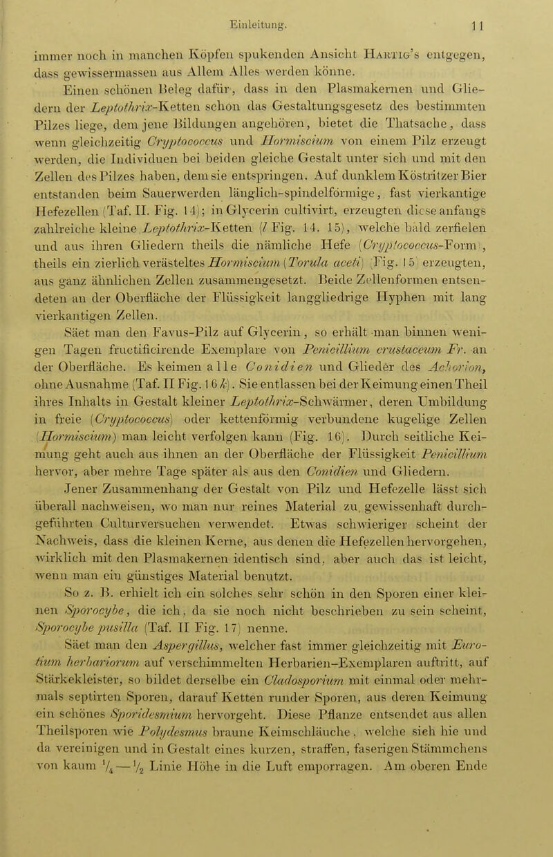 immer noch in manchen Köpfen spukenden Ansicht Hartig's entgegen, dass aewissennassen aus Allem Alles werden könne. Einen schönen Beleg dafür , dass in den Plasmakernen und Glie- dern der Leplothrix-Ketten schon das Gestaltungsgesetz des bestimmten Pilzes liege, dem jene Bildungen angehören, bietet die Thatsache, dass wenn gleichzeitig Cryptococcus und Honniscnmi von einem Pilz erzeugt werden, die Individuen bei beiden gleiche Gestalt unter sich und mit den Zellen des Pilzes haben, dem sie entspringen. Auf dunklem Köstritzer Bier entstanden beim Sauerwerden länglich-spindelförmige, fast vierkantige Hefezellen (Taf. II. Fig. 14); in Glycerin cultivirt, erzeugten diese anfangs zahlreiche kleine ie/J^'o^/m'a.-Ketten (/Fig. 14. 15), Avelche bald zerfielen und aus ihren Gliedern theils die nämliche Hefe [Crijphcocctis-Fovm-, theils ein zierlich vevästeltes Hormt'scnm [J'orula aceti] ,Fig. 15' erzeugten, aus ganz ähnlichen Zellen zvisammengesetzt. Beide Zcllenformen entsen- deten an der Oberfläche der Flüssigkeit langgliedrige Hypheu mit lang vierkantigen Zellen. Säet man den Favus-Pilz auf Glycerin, so erhält man binnen weni- gen Tagen fructificircnde Exemplare von Penicillmm crustaceum Fr. an der Oberfläche. Es keimen alle Conidien vind Glieder des Aclwrion, ohne Avisnahme (Taf. II Fig. 16^-). Sie entlassen bei der Keimung einen Theil ihres Inhalts in Gestalt kleiner Leptothrix-^cYi^y'-dxmex, deren Umbildung in freie [Cryptococcus] oder kettenförmig verbundene kugelige Zellen [Hormiscium) man leicht verfolgen kann (Fig. 16). Durch seitliche Kei- mung geht auch aus ihnen an der Oberfläche der Flüssigkeit PetiiciUrum hervor, aber mehre Tage später als aus den Conidien und Gliedern. Jener Zusammenhang der Gestalt von Pilz und Hefezelle lässt sich überall nachweisen, wo man nur reines Älaterial zu, gewissenhaft durch- geführten Culturversuchen verwendet. Etwas schwieriger scheint der Nachweis, dass die kleinen Kerne, aus denen die Hefezellen hervorgehen, wirklich mit den Plasmakernen identisch sind, aber auch das ist leicht, wenn man ein günstiges Material benutzt. So z. B. erhielt ich ein solches sehr schön in den Sporen einer klei- nen Sporocyhe, die ich , da sie noch nicht beschrieben zu sein scheint, Sporocyhe xmsilla (Taf. II Fig. 17) nenne. Säet man den Aspergillus, Avelcher fast immer gleichzeitig mit Euro- tium herhariorum auf verschimmelten Herbarien-Exemplaren auftritt, auf Stärkekleister, so bildet derselbe ein Cladosporium mit einmal oder mehr- mals septirten Sporen, darauf Ketten runder Sporen, aus deren Keimung ein schönes Sptoridesmium hervorgeht. Diese Pflanze entsendet aus allen Theilsporen wie Folydesmus braune Keimschläuche , welche sieh hie und da vereinigen und in Gestalt eines kurzen, straffen, faserigen Stämmchens von kaum V4 — V2 Linie Höhe in die Luft emporragen. Am oberen Ende