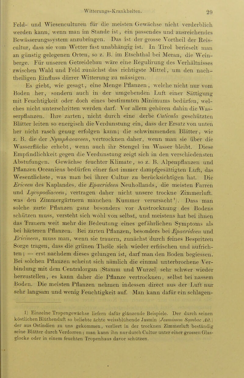 Feld- und Wiesencultureu für die meisten Gewächse nicht verderblich werden kann, wenn man im Stande ist, ein passendes und ausreichendes liewässerungssystem anzubringen. Das ist der grosse Vortheil der Reis- cultur, dass sie vom Wetter fast unabhängig ist. In Tirol berieselt man an günstig gelegenen Orten, so z. B. im Etschthal bei Meran, die Wein- berge. Für unseren Getreidebau wäre eine Regulirung des Verhältnisses zwischen Wald und Feld zunächst das richtigste Mittel, um den nach- theiligen Einfluss dürrer Witterung zu mässigen. Es giebt, wie gesagt, eine Menge Pflanzen, welche nicht nur vom Boden her, sondern auch in der umgebenden Luft einer Sättigung mit Feuchtigkeit oder doch eines bestimmten Minimums bedürfen, wel- ches nicht unterschritten werden darf. Vor allem gehören dahin die Was- serpflanzen. Ihre zarten, nicht durch eine derbe Cuticula geschützten Blätter leiten so energisch die Verdunstung ein, dass der Ersatz von unten her nicht rasch genug erfolgen kann; die schwimmenden Blätter, wie z. B. die der Nymphaeaceen, vertrocknen daher, wenn man sie über die Wasserfläche erhebt, wenn auch ihr Stengel im Wasser bleibt. Diese Empfindlichkeit gegen die Verdunstung zeigt sich in den verschiedensten Abstufungen. Gewächse feuchter Klimate, so z. B. Alpenpflanzen und Pflanzen Oceaniens bedürfen einer fast immer dampfgesättigten Luft, das Wesentlichste, was man bei ihrer Cultur zu berücksichtigen hat. Die Ericeen des Kaplandes, die Epacrideen Neuhollands, die meisten Farren und Lijcopodiaceen, vertragen daher nicht unsere trockne Zimmerluft, was den Zimmergärtnern manchen Kummer verursacht'). Dass man solche zarte Pflanzen ganz besonders vor Austrocknung des Bodens schützen muss, versteht sich wohl von selbst, und meistens hat bei ihnen das Trauern weit mehr die Bedeutung eines gefährlichen Symptoms als bei härteren Pflanzen. Bei zarten Pflanzen, besonders bei Epacrideen und Ericineen, muss man, wenn sie trauern, zunächst durch feines Bespritzen Sorge tragen, dass die grünen Theile sich wieder erfrischen und aufrich- ten ; — erst nachdem dieses gelungen ist, darf man den Boden begiessen. Bei solchen Pflanzen scheint sich nämlich die einmal unterbrochene Ver- bindung mit dem Centraiorgan (Stamm und Wurzel) sehr schwer w-ieder herzustellen, es kann daher die Pflanze vertrocknen, selbst bei nassem Ijoden. Die meisten Pflanzen nehmen indessen direct aus der Luft nur sehr langsam und wenig Feuchtigkeit auf. Man kann dafür ein schlagen- 1) Einzelne Tropengewächse liefern dafür glänzende Beispiele. Der durch seinen köstlichenBlüthenduft so beliebte ächte weissblühende Jasmin (Jusminum Sctmhac. Ait.) der aus Ostindien zu uns gekommen, verliert in der trocknen Zimmerluft beständig seine Blätter durch Verdorren ; man kann ihn nur durch Cultur unter einer grossen Glas- glocke oder in einem feuchten Tropenhaus davor schützen.