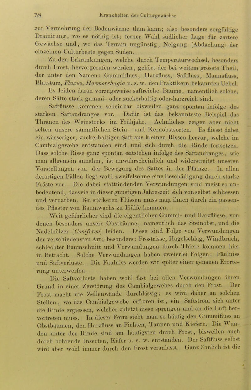 zm- Vermehrung der Bodenwärme tlnin kann; also besonders sorgfältige Drainiruug, wo es nöthig ist; ferner Wahl südlicher Lage für zartere Gewächse und, wo das Terrain ungünstig, Neigung (Abdachung der einzelnen Culturbeete gegen Süden. Zu den Erkrankungen, welche durch Temperatunvechsel, besonders durch Frost, hervorgerufen werden, gehört der bei weitem grösste Theil, der unter den Namen: Gummifluss, Harzfluss, Saftfluss, Mannafluss, lUutsturz, FhcxHs, HaemorrJiagia u. s. w. den Praktikern bekannten Uebel. Es leiden daran vorzugsweise saftreiche l^äume, namentlich solche, deren Säfte stark gummi- oder zuckerhaltig oder-liarzreich sind. Saftfiüsse kommen scheinbar bisweilen ganz spontan infolge des starken Saftandranges vor. Dafür ist das bekannteste ]3eispiel das Thränen des Weinstocks im Frühjahr. Aehnliches zeigen aber nicht selten unsere sämmtlichen Stein- und Kernobstsorten. Es fliesst dabei ein wässeriger, zuckerhaltiger Saft aus kleinen Rissen hervor, welche im Cambialgewebe entstanden sind und sich durch die Rinde fortsetzen. Dass solche Risse ganz spontan entstehen infolge des Saftandranges, wie man allgemein annahm, ist unwahrscheinlich und widerstreitet unseren Vorstellungen von der Bewegung des Saftes in der Pflanze. In allen derartigen Fällen liegt wohl zweifelsohne eine Beschädigung dm-ch starke Fröste vor. Die dabei stattfindenden VerAvundungen sind meist so un- bedeutend, dass sie in dieser günstigen Jahreszeit sich von selbst schliessen und vernarben. Bei stärkeren Flüssen muss man ihnen durch ein passen- des Pflaster von Baumwachs zu Hülfe kommen. Weit gefährlicher sind die eigentlichen Gummi- und Harzflüsse, von denen besonders unsere Obstbäume, namentlich das Steinobst, und die Nadelhölzer [Coniferen) leiden. Diese sind Folge von Verwundungen der verschiedensten Art; besonders : Frostrisse, Hagelsclilag, Windbruch, schlechter Baumschnitt und Verwundungen durch Thiere kommen hier in Betracht. Solche Verwundungen haben zweierlei Folgen: Fäulniss und Saftverluste. Die Fäulniss werden wir später einer genauen Erörte- rung unterwerfen. Die Saftverluste haben wohl fast bei allen Verwundungen ihren Grund in einer Zerstörung des Cambialgewebes durch den Frost. Der Frost macht die Zellenwände durchlässig; es wird daher an solchen Stellen, wo das Cambialgewebe erfroren ist, ein Saftstrom sich unter die Rinde ergiessen, welcher zuletzt diese sprengen und au die Luft her- vortreten muss. In dieser Form sieht man so häufig den Gummifluss an Obstbäumen, den Harzfluss an Fichten, Tannen und Kiefern. Die Wun- den unter der Rinde sind am häufigsten durch Frost, bisweilen auch durch bohrende Insecten, Käfer u. s. w. entstanden. Der Saftfluss selbst wird aber wohl immer durch den Frost veranlasst. Ganz ähnlich ist die