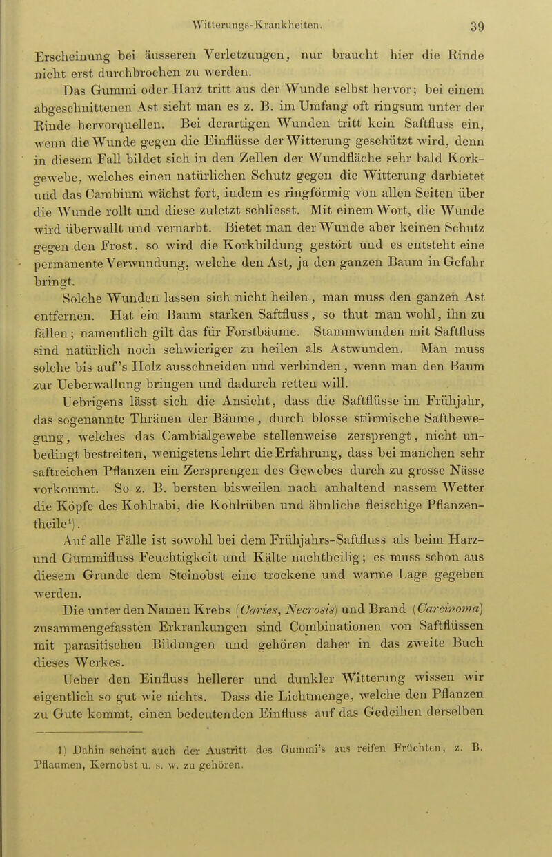 Erscheinung bei äusseren Verletzungen, nur braucht hier die Rinde nicht erst durchbrochen zu werden. Das Gummi oder Harz tritt aus der Wunde selbst hervor; bei einem abgeschnittenen Ast sieht man es z. B. im Umfang oft ringsum unter der Rinde hervorquellen. Bei derartigen Wunden tritt kein Saftfluss ein, wenn die Wunde gegen die Einflüsse der Witterung geschützt wird, denn in diesem Fall bildet sich in den Zellen der Wundfläche sehr bald Kork- gewebe, welches einen natürlichen Schutz gegen die Witterung darbietet xmd das Cambium wächst fort, indem es ringförmig von allen Seiten über die Wimde rollt und diese zuletzt schliesst. Mit einem Wort, die Wunde ward überwallt und vernarbt. Bietet man der Wunde aber keinen Schutz seo-en den Frost. so wird die Korkbildung gestört und es entsteht eine permanente Verwundung, welche den Ast, ja den ganzen Baum in Gefahr bringt. Solche Wunden lassen sich nicht heilen, man muss den ganzen Ast entfernen. Hat ein Baum starken Saftfluss, so thut man wohl, ihn zu fällen; namentlich gilt das für Forstbäume. Stammwunden mit Saftfluss sind natürlich noch schwieriger zu heilen als Astwunden. Man muss solche bis auf's Holz ausschneiden und verbinden, wenn man den Baum zur Ueberwallung bringen und dadurch retten will. Uebrigens lässt sich die Ansicht, dass die Saftflüsse im Frühjahr, das sogenannte Thränen der Bäume, durch blosse stürmische Saftbewe- gung, welches das Cambialgewebe stellenweise zersprengt, nicht un- bedingt bestreiten, Avenigstens lehrt die Erfahrung, dass bei manchen sehr saftreichen Pflanzen ein Zersprengen des Gewebes durch zu grosse Nässe vorkommt. So z. B. bersten bisweilen nach anhaltend nassem Wetter die Köpfe des Kohlrabi, die Kohlrüben und ähnliche fleischige Pflanzen- theile*). Auf alle Fälle ist sowohl bei dem Frühjahrs-Saftfluss als beim Harz- und Gummifluss Feuchtigkeit und Kälte nachtheilig; es muss schon aus diesem Grunde dem Steinobst eine trockene und warme Lage gegeben werden. Die unter den Namen Krebs [Caries, Necrosis) und Brand [Gardnomd] zusammengefassten Erkrankungen sind Combinationen von Saftflüssen mit parasitischen Bildungen und gehören daher in das zweite Buch dieses Werkes. lieber den Einfluss hellerer und dunkler Witterung wissen wir eigentlich so gut wie nichts. Dass die Lichtmenge, welche den Pflanzen zu Gute kommt, einen bedeutenden Einfluss auf das Gedeihen derselben 1) Dahin scheint auch der Austritt des Gummi's aus reifen Früchten, z. B. Pflaumen, Kernobst u. s. w. zu gehören.