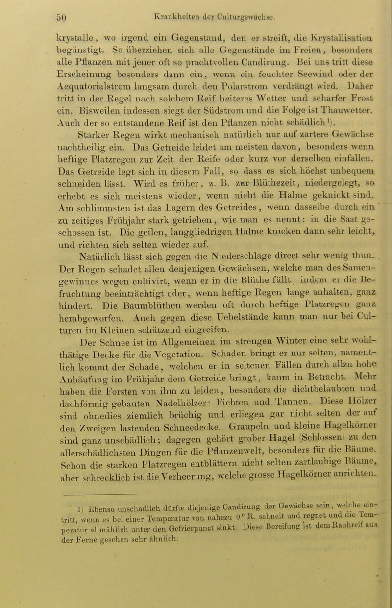 krystalle, wo irgend ein Gegenstand, den er streift, die Krystallisatiun begünstigt. So überziehen sich alle Gegenstände im Freien, besonders alle Pflanzen mit jener oft so prachtvollen Candirung. Bei uns tritt diese Erscheinung besonders dann ein, wenn ein feuchter Seewind oder der Aequatorialstrom langsam durch den Polarstrom verdrängt wird. Daher tritt in der Regel nach solchem Reif heiteres Wetter und scharfer Frost ein. Bisweilen indessen siegt der Südstrom und die Folge ist Thauwetter. Auch der so entstandene Reif ist den Pflanzen nicht schädlich , Starker Regen wirkt mechanisch natürlich nur auf zartere Gewächse nachtheilig ein. Das Getreide leidet am meisten davon, besonders wenn heftige Platzregen zur Zeit der Reife oder kurz vor derselben einfallen. Das Getreide legt sich in diesem Fall, so dass es sich höchst unbequem schneiden lässt. Wirdes früher, z. B. znr Blüthezeit, niedergelegt, so erhebt es sich meistens wieder, wenn nicht die Halme geknickt sind. Am schlimmsten ist das Lagern des Getreides, wenn dasselbe durch ein ' zu zeitiges Frühjahr stark getrieben, wie man es nennt: in die Saat ge- schossen ist. Die geilen, langgliedrigen Halme knicken dann sehr leicht, und richten sich selten wieder auf. Natürlich lässt sich gegen die Niederschläge direct sehr wenig thun. . Der Regen schadet allen denjenigen Gewächsen, welche man des Samen- gewinnes wegen cultivirt, wenn er in die Blüthe fällt, indem er die Be- fruchtung beeinträchtigt oder, wenn heftige Regen lange anhalten, ganz hindert. Die Baumblüthen werden oft durch heftige Platzregen ganz herabo-eworfeu. Auch geo^en diese Uebelstände kann man nur bei Cul- turen im Kleinen schützend eingreifen. Der Schnee ist im Allgemeinen im strengen Winter eine sehr wohl- thätige Decke für die Vegetation. Schaden bringt er nur selten, nament- lich kommt der Schade, welchen er in seltenen Fällen durch allzu hohe Anhäufung im Frühjahr dem Getreide bringt, kaum in Betracht. Mehr haben die Forsten von ihm zu leiden, besonders die dichtbelaubten und dachförmig gebauten Nadelhölzer: Fichten und Tannen. Diese Hölzer sind ohnedies ziemlich brüchig und erliegen gar nicht selten der auf den Zweigen lastenden Schneedecke. Graupeln und kleine Hagelkörner sind ganz unschädlich; dagegen gehört grober Hagel (Schlössen) zu den allerschädlichsten Dingen für die Pflanzenwelt, besonders für die Bäume. Schon die starken Platzregen entblättern nicht selten zartlaubige Bäume, aber schrecldich ist die Verheerung, welche grosse Hagelkörner anrichten. 1) Ebenso unschädlich dürfte diejenige Candirung der Gewächse sein, welche ein- tritt, wenn es bei einer Temperatur von nahezu 0» R. schneit und regnet und die Tem- peratur allmählich unter den Gefrierpunct sinkt. Diese Bereifung ist demRauhreil au^ der Ferne gesehen sehr ähnlich.
