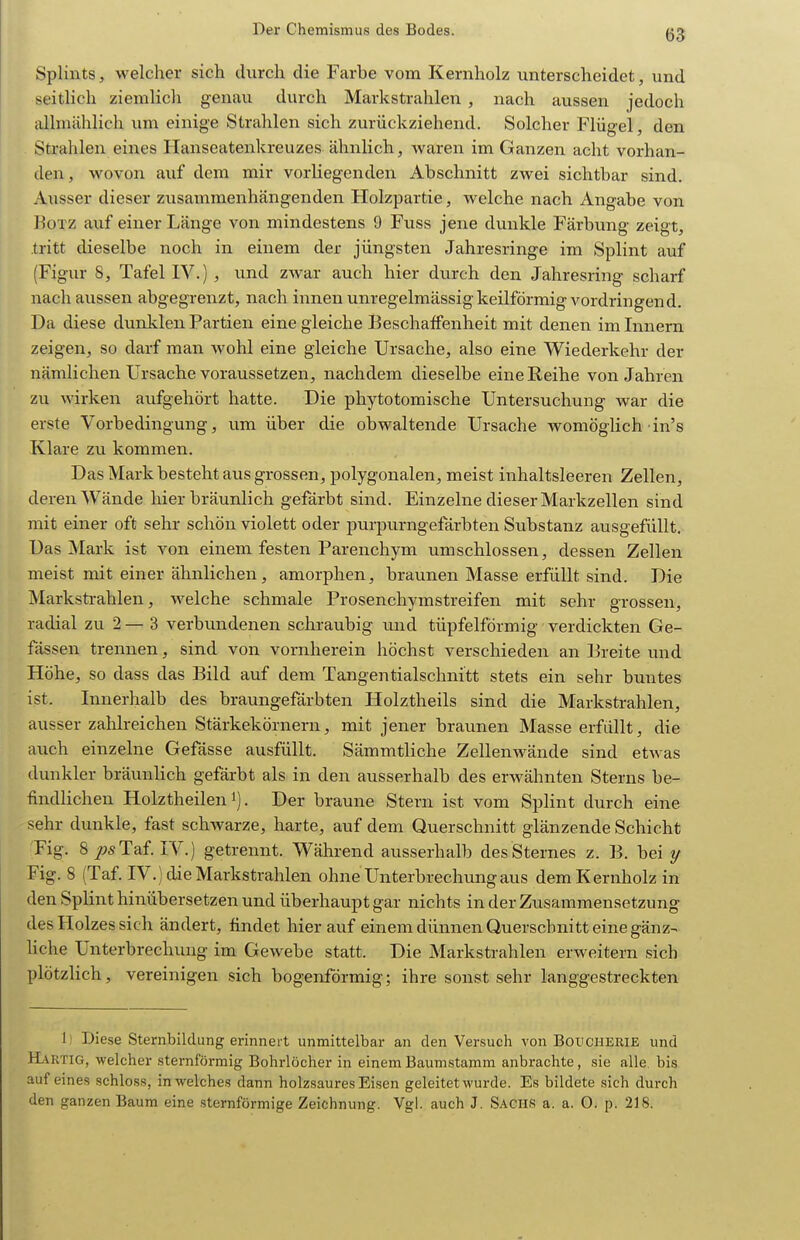 Splints, welcher sich durch die Farbe vom Kernholz unterscheidet, und seitlich ziemlich genau durch Markstrahlen , nach aussen jedoch allmählich xim einige Strahlen sich zurückziehend. Solcher Flügel, den Strahlen eines Hanseatenkreuzes ähnlich, waren im Ganzen acht vorhan- den, wovon auf dem mir vorliegenden Abschnitt zwei sichtbar sind. Ausser dieser zusammenhängenden Holzpartie, welche nach Angabe von Rotz auf einer Länge von mindestens 9 Fuss jene dunkle Färbung zeigt, tritt dieselbe noch in einem der jüngsten Jahresringe im Splint auf (Figur 8, Tafel IV.) , und zwar auch hier durch den Jahresring scharf nach aussen abgegrenzt, nach innen unregelmässig keilförmig vordringend. Da diese dunklen Partien eine gleiche Beschaffenheit mit denen im Innern zeigen, so darf man wohl eine gleiche Ursache, also eine Wiederkehr der nämlichen Ursache voraussetzen, nachdem dieselbe eine Reihe von Jahren zu wirken aufgehört hatte. Die phytotomische Untersuchung war die erste Vorbedingung, um über die obwaltende Ursache womöglich in's Klare zu kommen. Das Mark besteht aus grossen, polygonalen, meist inhaltsleeren Zellen, deren AVände hier bräunlich gefärbt sind. Einzelne dieser Markzellen sind mit einer oft sehr schön violett oder purpurngefärbten Substanz ausgefüllt. Das Mark ist von einem festen Parenchym umschlossen, dessen Zellen meist mit einer ähnlichen, amorphen, braunen Masse erfüllt sind. Die Markstrahlen, welche schmale Prosenchymstreifen mit sehr grossen, radial zu 2 — 3 verbundenen schraubig und tüpfeiförmig verdickten Ge- fässen trennen, sind von vornherein höchst verschieden an Breite und Höhe, so dass das Bild auf dem Tangentialschnitt stets ein sehr buntes ist. Innerhalb des braungefärbten Holztheils sind die Markstrahlen, ausser zahlreichen Stärkekörnern, mit jener braunen Masse erfüllt, die auch einzelne Gefässe ausfüllt. Sämmtliche Zellenwände sind etAvas dunkler bräunlich gefärbt als in den ausserhalb des erwähnten Sterns be- findlichen Holztheilen 1). Der braune Stern ist vom Splint durch eine sehr dunkle, fast schwarze, harte, auf dem Querschnitt glänzende Schicht Fig. 8 ^sTaf IV.) getrennt. Während ausserhalb des Sternes z. B. bei y Fig. 8 (Taf IV.) die Markstrahlen ohne Unterbrechung aus dem Kernholz in den Splint hinübersetzen und überhaupt gar nichts in der Zusammensetzung des Holzes sich ändert, findet hierauf einem dünnen Querschnitt eine gänz- liche Unterbrechung im Gewebe statt. Die Markstrahlen erweitern sich plötzlich, vereinigen sich bogenförmig; ihre sonst sehr langgestreckten 1) Diese Sternbildung erinnert unmittelbar an den Versuch von Boucherie und Hartig, welcher sternförmig Bohrlöcher in einem Baumstamm anbrachte, sie alle, bis auf eines schloss, in welches dann holzsaures Eisen geleitet wurde. Es bildete sich durch den ganzen Baum eine sternförmige Zeichnung. Vgl. auch J. Saous a. a. 0. p. 218.