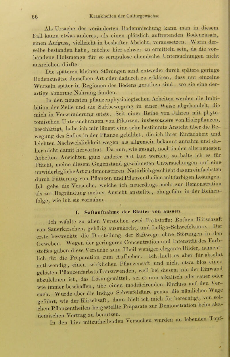 Als Ursache der veränderten Bodenmischung kann man in diesem Fall kaum etwas anderes, als einen plötzlich auftretenden Bodenzusatz, einen Aufguss, vielleicht in boshafter Absicht, voraussetzen. Worin der- selbe bestanden habe, möchte hier schwer zu ermitteln sein, da die vor- handene Holzmenge für so scrupulöse chemische Untersuchungen nicht ausreichen dürfte. Die späteren kleinen Störungen sind entweder durch spätere geringe Bodenzusätze derselben Art oder dadurch zu erklären, dass nur einzelne Wurzeln später in Regionen des Bodens gerathen sind, wo sie eine der- artige abnorme Nahrung fanden. In den neuesten pflanzenphysiologischen Arbeiten werden die Imbi- bition der Zelle und die Saftbewegung in einer Weise abgehandelt, die mich in Verwunderung setzte. Seit einer Reihe von Jahren mit phyto- tomischen Untersuchungen von Pflanzen, insbesondere von Holzpflanzen, beschäftigt, habe ich mir längst eine sehr bestimmte Ansicht über die Be- wegung des Saftes in der Pflanze gebildet, die ich ihrer Einfachheit und leichten Nachweislichkeit wegen als allgemein bekannt annahm und da- her nicht damit hervortrat. Da nun, wie gesagt, noch in den allerneuesten Arbeiten Ansichten ganz anderer Art laut werden, so halte ich es für Pflicht, meine diesem Gegenstand gewidmeten Untersuchungen auf eine unwiderlegliche Art zu demonstriren. NatürHch geschieht das am einfachsten durch Fütterung von Pflanzen und Pflanzentheilen mit farbigen Lösungen. Ich gebe die Versuche, welche ich neuerdings mehr zur Demonstration als zur Begründung meiner Ansicht anstellte, ohngefähr in der Reihen- folge, wie ich sie vornahm. I. Saftaufiiahme der Blätter von aussen. Ich wählte zu allen Versuchen zwei Farbstofi'e: Rothen Kirschsaft von Sauerkirschen, gehörig ausgekocht, und Indigo-Schwefelsäure. Der erste bezweckte die Darstellung der Saftwege ohne Störungen in den Geweben. Wegen der geringeren Concentration und Intensität des Farb- stofies gaben diese Versuche zum Theil weniger elegante Bilder, nament- lich für die Präparation zum Aufheben. Ich hielt es aber für absolut nothwendig, einen wirklichen Pflanzensaft und nicht etwa blos einen gelösten Pflanzenfarbstoff anzuwenden, weil bei diesem nie der Einwand abzulehnen ist, das Lösungsmittel, sei es nun alkalisch oder sauer oder wie immer beschaffen, übe einen modificirenden Einfluss auf den \ er- such. Wurde aber die Indigo-Schwefelsäure genau die nämlichen Wege geführt, wie der Kirschsaft, dann hielt ich mich für berechtigt von sol- chen Pflanzentheilen hergestellte Präparate zur Demonstration beim aka- demischen Vortrag zu benutzen. , ^ , rr ,r In den hier mitzutheilenden Versuchen wurden an lebenden iopi-