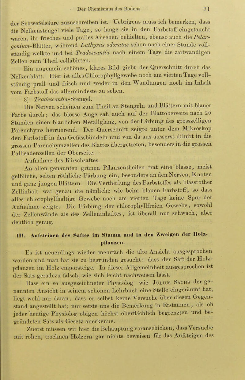 der Schwefelsäure zuzuschreiben ist. Uebrigens muss ich bemerken, dass die Nelkenstengel viele Tage, so lange sie in den Farbstoff eingetaucht waren, ihr frisches und pralles Ansehen behielten, ebenso auch die Pelar- gonium-Wä.ttQY, während Lathyrus ocloratus schon nach einer Stunde voll- ständig welkte und bei Tradescantia nach einem Tage die zartwandigen Zellen zum Theil collabirten. Ein ungemein schönes, klares Bild giebt der Querschnitt durch das Nelkenblatt. Hier ist alles Chlorophyllgewebe noch am vierten Tage voll- ständig prall und frisch und weder in den Wandungen noch im Inhalt vom Farbstoff das allermindeste zu sehen. 3) Tradescmitia-^te.nge\. Die Nerven scheinen zum Theil an Stengeln und Blättern mit blauer Farbe durch; das blosse Auge sah auch auf der Blattoberseite nach 20 Stunden einen blaulichen Metallglanz, von der Färbung des grosszelligen Parenchyms herrührend. Der Querschnitt zeigte unter dem Mikroskop den Farbstoff in den Gefässbündeln und von da aus äusserst diluirt in die grossen Parenchymzellen des Blattes übergetreten, besonders in die grossen Pallisadenzellen der Oberseite. - Aufnahme des Kirschsaftes. An allen genannten grünen Pflanzentheilen trat eine blasse, meist gelbliche, selten röthliche Färbung ein, besonders an den Nerven, Knoten und ganz jungen Blättern. Die Vertheilung des Farbstoffes als blassrother Zellinhalt war genau die nämliche wie beim blauen Farbstoff, so dass alles chlorophyllhaltige Gewebe noch am vierten Tage keine Spur der Aufnahme zeigte. Die Färbung der chlorophyllfreien Gewebe, sowohl der Zellenwände als des Zelleninhaltes, ist überall nur schwach, aber deutlich genug. III. Aufsteigen des Saftes im Stamm und in den Zweigen der Holz- pflanzen. Es ist neuerdings wieder mehrfach die alte Ansicht ausgesprochen worden und man hat sie zu begründen gesucht: dass der Saft der Holz- pflanzen im Holz emporsteige. In dieser Allgemeinheit ausgesprochen ist der Satz geradezu falsch, wie sich leicht nachweisen lässt. Dass ein so ausgezeichneter Physiolog wie Julius Sachs der ge- nannten Ansicht in seinem schönen Lehrbuch eine Stelle eingeräumt hat, liegt wohl nur daran, dass er selbst keine Versuche über diesen Gegen- stand angestellt hat; nur setzte uns die Bemerkung in Erstaunen, als ob jeder heutige Physiolog obigen höchst oberflächlich begrenzten und be- gründeten Satz als Gesetz anerkenne. Zuerst müssen wir hier die Behauptung voranschicken, dass Versuche mit rohen, trocknen Hölzern gar nichts beweisen für das Aufsteigen des