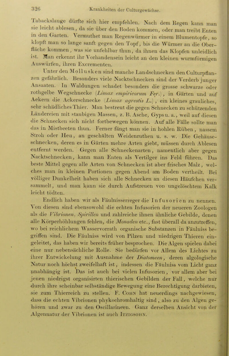 Tabackslauge dürfte sich hier empfelilen. Nach dem Regen kann man sie leicht ablesen, da sie über den lioden kommen, oder man treibt Enten in den Garten. Vermuthet man Regenwürmer in einem lilumentc^pfe, so klopft man so lange sanft gegen den Topf, bis die Würmer an die Ober- fläche kommen, was sie unfehlbar thun, da ihnen das Klopfen unleidlich ist. Man erkennt ihr Vorhandensein leicht an den kleinen wurmförmigen Auswürfen, ihren Excrementeu. Unter den Mollusken sind manche Landschnecken denCultuqiflan- zen gefährlich. Besonders viele Nacktschnecken sind der Verderb junger Ansaaten. In Waldungen schadet besonders die grosse schwarze oder rothgelbe Wegschnecke [Limax empiricorum Fer.), in Gärten und auf Ackern die Ackerschnecke [Limax agrestis L.) , ein kleines grauliches, sehr schädliches Thier. Man bestreut die gegen Schnecken zu schützenden Ländereien mit staubigen Massen, z. Ii. Asche, Gypsu. a., weil auf diesen die Schnecken sich nicht fortbewegen können. Auf alle Fälle sollte man das in INIistbeeten thun. Ferner fängt man sie in hohlen Rüben, nassem Stroh oder Heu, an geschälten Weidenruthen u. s. w. Die Gehäuse- schnecken, deren es in Gärten mehre Arten giebt, müssen durch Ablesen entfernt werden. Gegen alle Schneckenarten, namentlich aber gegen Nacktschnecken, kann man Enten als Vertilger ins Feld führen. Das beste Mittel gegen alle Arten von Schnecken ist aber frisches Malz, wel- ches man in kleinen Portionen gegen Abend am Boden vertheilt. Bei völliger Dunkelheit haben sich alle Schnecken an diesen Häufchen ver- sammelt, und man kann sie durch Aufstreuen von ungelöschtem Kalk leicht tödten. Endlich haben wir als Fäulnisserreger die Infusorien zu nennen. Von diesen sind ebensowohl die echten Infusorien der neueren Zoologen als die Vibrionen, Spirillen und zahlreiche ihnen ähnliche Gebilde, denen alle Körperhöhlungen fehlen, die Monaden etc., fast überall da anzutreffen, WO bei reichlichem Wasservorrath organische Substanzen in Fäulniss be- griffen sind. Die Fäulniss wnrd von Pilzen und niedrigen Thieren ein- geleitet, das haben wir bereits früher besprochen. Die Algen spielen dabei eine nur nebensächliche Rolle. Sie bedürfen vor Allem des Lichtes zu ihrer EntAvickelung mit Ausnahme der Diatomeen, deren algologische Natur noch höchst zweifelhaft ist, indessen die FSulniss vom Licht ganz imabhängig ist. Das ist auch bei vielen Infusorien, vor allem aber bei jenen niedrigst organisirten thierischen Gebilden der Fall, welche nur ■durch ihre scheinbar selbständige Bewegung eine Berechtigung darbieten, sie zum Thierreich zu stellen. F. Cohn hat neuerdings nachgewiesen, •dass die echten Vibrionen phykochromhaltig sind, also zu den Algen ge- liören und zM'ar zu den Oscillarineen. Ganz derselben Ansicht von der Algennatur der Vibrionen ist auch Itzigsohn.