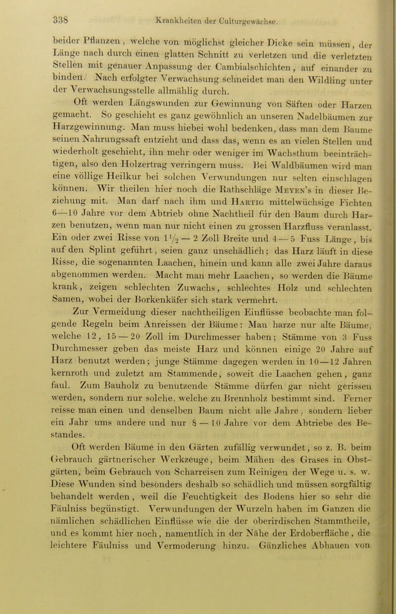 beider Pflanzen , welche von möglichst gleicher Dicke sein müssen, der Länge nach durch einen glatten Schnitt zu verletzen und die verletzten Stellen mit genauer Anpassung der Cambialschichten, auf einander zu binden. Nach erfolgter Verwachsung schneidet man den Wildling unter der Verwachsungsstelle allmählig durch. Oft werden Längswunden zur Gewinnung von Säften oder Harzen gemacht. So geschieht es ganz gewöhnlich an unseren Nadelbäumen zur HarzgCAvinnung. Man muss hiebei wohl bedenken, dass man dem ]{aume seinen Nahrungssaft entzieht und dass das, wenn es an vielen Stellen und wiederholt geschieht, ihn mehr oder weniger im Wachsthum beeinträch- tigen, also den Holzertrag verringern muss. Bei Waldbäumen wird man eine völlige Heilkur bei solchen Verwundungen nur seifen einschlagen können. Wir theilen hier noch die Rathschläge Meyen's in dieser Be- ziehung mit. Man darf nach ihm und Häutig mittelwüchsige Fichteii 6—10 Jahre vor dem Abtrieb ohne Nachtheil für den Baum durch Har- zen benutzen, wenn man nur nicht einen zu grossen Harzfluss veranlasst. Ein oder zwei Risse von IV2 — 2 Zoll Breite und 4—5 Fuss Länge, bis auf den Splint geführt, seien ganz unschädlich; das Harz läuft in diese Risse, die sogenannten Laachen, hinein und kann alle zwei Jahre daraus abgenommen werden. Macht man mehr Laachen, so Averden die Bäume krank, zeigen schlechten Zuwachs, schlechtes Holz und schlechten Samen, wobei der Borkenkäfer sich stark vermehrt. Zur Vermeidung dieser nachtheiligen Einflüsse beobachte man fol- gende Regeln beim Anreissen der Bäume: Man harze nur alte Bäume, welche 12, 15 — 20 Zoll im Durchmesser haben; Stämme von 3 Fuss Durchmesser geben das meiste Harz und können einige 20 Jahre auf Harz benutzt werden; junge Stämme dagegen werden in 10 —12 Jahren kernroth und zuletzt am Stammende, soweit die Laachen gehen, ganz faul. Zum Bauholz zu benutzende Stämme dürfen gar nicht gerissen werden, sondern nur solche, welche zu Brennholz bestimmt sind. Ferner reisse man einen und denselben Baum nicht alle Jahre, sondern lieber ein Jahr ums andere und nur 8—10 Jahre vor dem Abtriebe des Be- standes. Oft werden Bäume in den Gärten zufällig verwundet, so z. B. beim Gebrauch gärtnerischer Werkzeuge, beim Mähen des Grases in Obst- gärten, beim Gebrauch von Scharreisen zum Reinigen der Wege u. s. w. Diese Wunden sind besonders deshalb so schädlich und müssen sorgfältig behandelt werden, weil die Feuchtigkeit des Bodens hier so sehr die Fäulniss begünstigt. Verwundungen der Wurzeln haben im Ganzen die nämlichen schädlichen Einflüsse wie die der oberirdischen Stammtheile, und es kommt hier noch, namentlich in der Nähe der Erdoberfläche, die leichtere Fäulniss und Vermoderung hinzu. Gänzliches Abhauen von