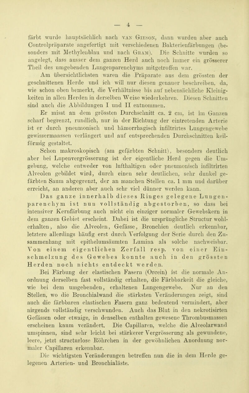 färbt wurde hauptsächlich nach van Geesoh, dann wurden aber auch Controlpräparate angefertigt mit verschiedenen Bakterienfärbungen (be- sonders mit Methylenblau und nach Geam). Die Schnitte wurden so angelegt, dass ausser dem ganzen Herd auch noch immer ein grösserer Theil des umgebenden Lungenparenchyms mitgetroffen war. Am übersichtlichsten waren die Präparate aus dem grössten der geschnittenen Herde und ich will nur diesen genauer beschreiben, da. wie schon oben bemerkt, die Verhältnisse bis auf nebensächliche Kleinig- keiten in allen Herden in derselben Weise wiederkehren. Diesen Schnitten sind auch die Abbildungen I und II entnommen. Er misst an dem grössten Durchschnitt ca. 2 cm. ist im Ganzen scharf begrenzt, rundlich, nur in der Richtung der eintretenden Arterie ist er durch pneumonisch und hämorrhagisch infiltrirtes Lungengewelte gewissermaassen verlängert und auf entsprechenden Durchschnitten keil- förmig gestaltet. Schon makroskopisch (am gefärbten Schnitt), besonders deutlich aber bei Lupenvergrösserung ist der eigentliche Herd gegen die Um- gebung, welche entweder von lufthaltigen oder pneumonisch infiltrirten Alveolen gebildet wird, durch einen sehr deutlichen, sehr dunkel ge- färbten Saum abgegrenzt, der an manchen Stellen ca. 1 mm und darüber erreicht, an anderen aber auch sehr viel dünner werden kann. Das ganze innerhalb dieses Ringes gelegene Lungen- parenchym ist nun vollständig abgestorben, so dass bei intensiver Kernfärbung auch nicht ein einziger normaler Gewebskern in dem ganzen Gebiet erscheint. Dabei ist die ursprüngliche Structur wohl- erhalten, also die Alveolen, Gefässe, Bronchien deutlich erkennbar, letztere allerdings häufig erst durch Verfolgung der Serie durch den Zu- sammenbang mit epithelumsäumten Lumina als solche nachweisbar. Von einem eigentlichen Zerfall resp. von einer Ein- schmelzung des Gewebes konnte auch in den grössten Herden noch nichts entdeckt werden. Bei Färbung der elastischen Fasern (Orcein) ist die normale An- ordnung derselben fast vollständig erhalten, die Färbbarkeit die gleiche, wie bei dem umgebenden, erhaltenen Lungengewebe. Nur an den Stellen, wo die Bronchialwand die stärksten Veränderungen zeigt, sind auch die färbbaren elastischen Fasern ganz bedeutend vermindert, aber nirgends vollständig verschwunden. Auch das Blut in den nekrotisirten Gefässen oder etwaige, in denselben enthalten gewesene Thrombusmassen erscheinen kaum verändert. Die Capillaren, welche die Alveolar wand umspinnen, sind sehr leicht bei stärkerer Vergrösserung als gewundene leere, jetzt structurlose Röhrchen in der gewöhnlichen Anordnung nor- maler Capillaren erkennbar. Die wichtigsten Veränderungen betreffen nun die in dem Herde ge- legenen Arterien- und Bronchialäste.