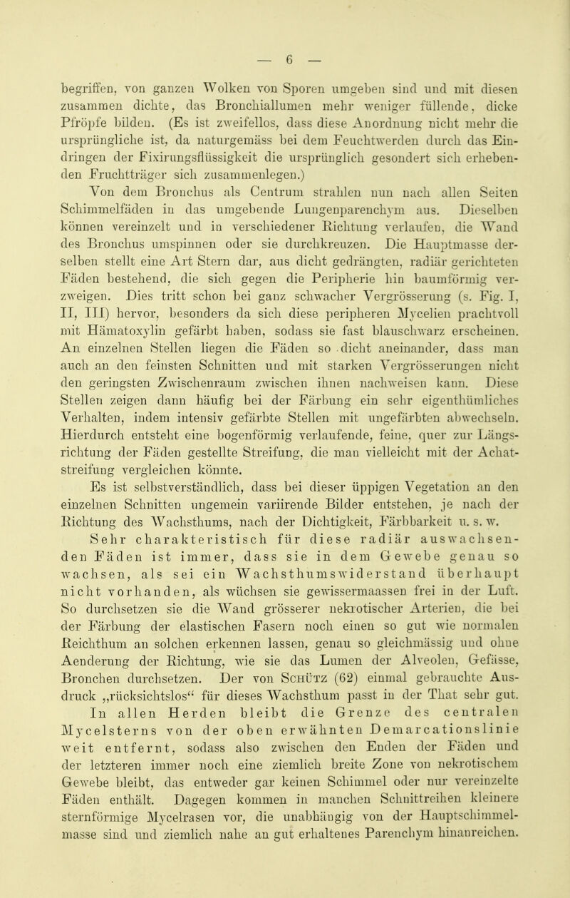 begriffen, von ganzen Wolken von Sporen umgeben sind und mit diesen zusammen dichte, das Bronchiallumen mehr weniger füllende, dicke Pfropfe bilden. (Es ist zweifellos, dass diese Anordnung nicht mehr die ursprüngliche ist, da naturgemäss bei dem Feuchtwerden durch das Ein- dringen der Fixirimgsflüssigkeit die ursprünglich gesondert sich erheben- den Fruchtträger sich zusammenlegen.) Von dem Bronchus als Centrum strahlen nun nach allen Seiten Schimmelfäden in das umgebende Lungenparenchym aus. Dieselben können vereinzelt und in verschiedener Richtung verlaufen, die Wand des Bronchus umspinnen oder sie durchkreuzen. Die Hauptmasse der- selben stellt eine Art Stern dar, aus dicht gedrängten, radiär gerichteten Fäden bestehend, die sich gegen die Peripherie hin baumfürmig ver- zweigen. Dies tritt schon bei ganz schwacher Vergrösserung (s. Fig. I, II, III) hervor, besonders da sich diese peripheren Mvcelien prachtvoll mit Hämatoxylin gefärbt haben, sodass sie fast blauschwarz erscheinen. An einzelnen Stellen liegen die Fäden so dicht aneinander, dass man auch an den feinsten Schnitten und mit starken Vergrößerungen nicht den geringsten Zwischenraum zwischen ihnen nachweisen kann. Diese Stellen zeigen dann häufig bei der Färbung ein sehr eigenthümliches Verhalten, indem intensiv gefärbte Stellen mit ungefärbten abwechseln. Hierdurch entsteht eine bogenförmig verlaufende, feine, quer zur Längs- richtung der Fäden gestellte Streifung, die man vielleicht mit der Achat- streifung vergleichen könnte. Es ist selbstverständlich, dass bei dieser üppigen Vegetation an den einzelnen Schnitten ungemein variirende Bilder entstehen, je nach der Richtung des AVachsthums, nach der Dichtigkeit, Färbbarkeit u. s. w. Sehr charakteristisch für diese radiär aus wach sen- den Fäden ist immer, dass sie in dem Gewebe genau so wachsen, als sei ein Wachsthums wider st and überhaupt nicht vorhanden, als wüchsen sie gewissermaassen frei in der Luft. So durchsetzen sie die Wand grösserer nekrotischer Arterien, die bei der Färbung der elastischen Fasern noch einen so gut wie normalen Reichthum an solchen erkennen lassen, genau so gleichmässig und ohne Aenderung der Richtung, wie sie das Lumen der Alveolen, Gefässe, Bronchen durchsetzen. Der von Schütz (62) einmal gebrauchte Aus- druck „rücksichtslos für dieses Wachsthum passt in der That sehr gut. In allen Herden bleibt die Grenze des centralen Mycelsterns von der oben erwähnten Demarkationslinie weit entfernt, sodass also zwischen den Enden der Fäden und der letzteren immer noch eine ziemlich breite Zone von nekrotischem Gewebe bleibt, das entweder gar keinen Schimmel oder nur vereinzelte Fäden enthält. Dagegen kommen in manchen Schuittreihen kleinere sternförmige Mycelrasen vor, die unabhängig von der Hauptschimmel- masse sind und ziemlich nahe an gut erhaltenes Parenchym hinanreichen.