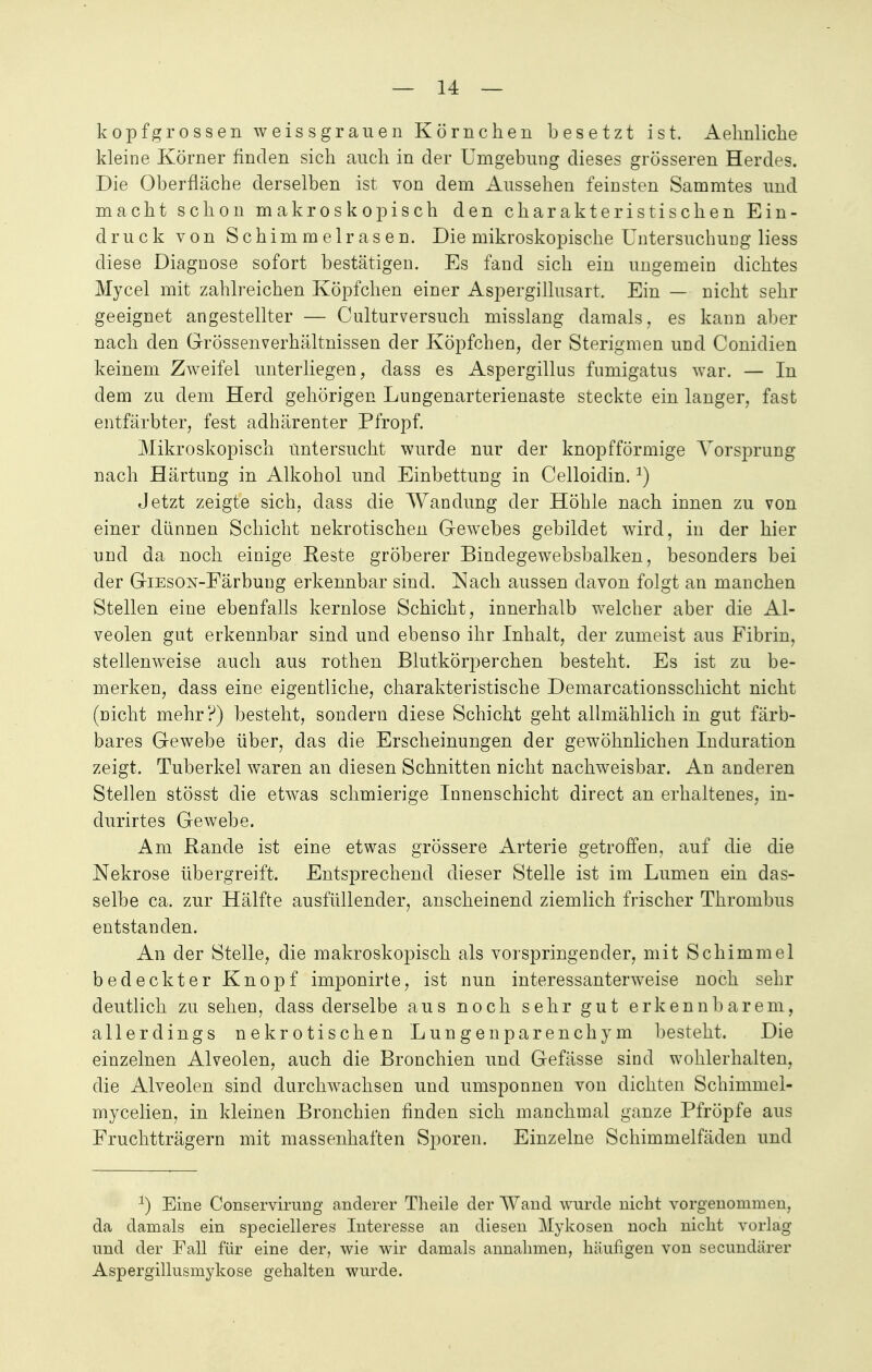 kopfgrossen weissgrauen Körnchen besetzt ist. Aehnliche kleine Körner finden sich auch in der Umgebung dieses grösseren Herdes. Die Oberfläche derselben ist von dem Aussehen feinsten Sammtes und macht schon makroskopisch den charakteristischen Ein- druck von Schimmel rasen. Die mikroskopische Untersuchung liess diese Diagnose sofort bestätigen. Es fand sich ein ungemein dichtes Mycel mit zahlreichen Köpfchen einer Aspergillusart. Ein — nicht sehr geeignet angestellter — Culturversuch misslang damals, es kann aber nach den Grössenverhältnissen der Köpfchen, der Sterigmen und Conidien keinem Zweifel unterliegen, dass es Aspergillus fumigatus war. — In dem zu dem Herd gehörigen Lungenarterienäste steckte ein langer, fast entfärbter, fest adhärenter Pfropf. Mikroskopisch Untersucht wurde nur der knopfförmige Yorsprung nach Härtung in Alkohol und Einbettung in Celloidin.2) Jetzt zeigte sich, dass die Wandung der Höhle nach innen zu von einer dünnen Schicht nekrotischen Gewebes gebildet wird, in der hier und da noch einige Reste gröberer Bindegewebsbalken, besonders bei der GiEsON-Färbung erkennbar sind. Nach aussen davon folgt an manchen Stellen eine ebenfalls kernlose Schicht, innerhalb welcher aber die Al- veolen gut erkennbar sind und ebenso ihr Inhalt, der zumeist aus Fibrin, stellenweise auch aus rothen Blutkörperchen besteht. Es ist zu be- merken, dass eine eigentliche, charakteristische Demarcationsschicht nicht (nicht mehr?) besteht, sondern diese Schicht geht allmählich in gut färb- bares Gewebe über, das die Erscheinungen der gewöhnlichen Induration zeigt. Tuberkel waren an diesen Schnitten nicht nachweisbar. An anderen Stellen stösst die etwas schmierige Innenschicht direct an erhaltenes, in- durirtes Gewebe. Am Rande ist eine etwas grössere Arterie getroffen, auf die die Nekrose übergreift. Entsprechend dieser Stelle ist im Lumen ein das- selbe ca. zur Hälfte ausfüllender, anscheinend ziemlich frischer Thrombus entstanden. An der Stelle, die makroskopisch als vorspringender, mit Schimmel bedeckter Knopf imponirte, ist nun interessanterweise noch sehr deutlich zu sehen, dass derselbe aus noch sehr gut erkennbarem, allerdings nekrotischen Lungenparenchym besteht. Die einzelnen Alveolen, auch die Bronchien und Gefässe sind wohlerhalten, die Alveolen sind durchwachsen und umsponnen von dichten Schimmel- mycelien, in kleinen Bronchien finden sich manchmal ganze Pfropfe aus Fruchtträgern mit massenhaften Sporen. Einzelne Schimmelfäden und a) Eine Conservirung anderer Theile der Wand wurde nicht vorgenommen, da damals ein specielleres Interesse an diesen Mykosen noch nicht vorlag und der Fall für eine der, wie wir damals annahmen, häufigen von secimdärer Aspergillusmykose gehalten wurde.