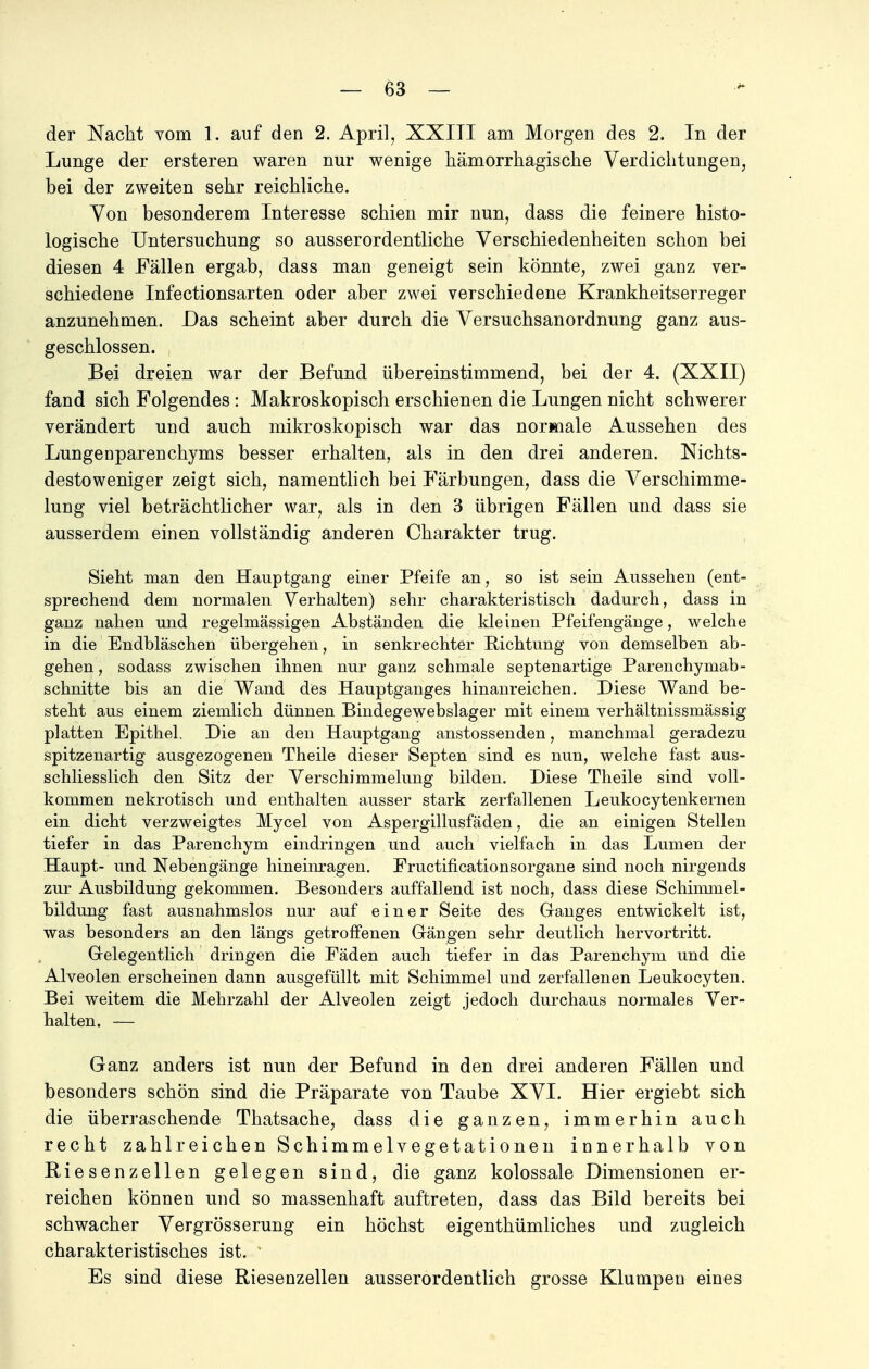 der Nacht vom 1. auf den 2. April, XXITI am Morgen des 2. In der Lunge der ersteren waren nur wenige hämorrhagische Verdichtungen, bei der zweiten sehr reichliche. Von besonderem Interesse schien mir nun, dass die feinere histo- logische Untersuchung so ausserordentliche Verschiedenheiten schon bei diesen 4 Fällen ergab, dass man geneigt sein könnte, zwei ganz ver- schiedene Infectionsarten oder aber zwei verschiedene Krankheitserreger anzunehmen. Das scheint aber durch die Versuchsanordnung ganz aus- geschlossen. | Bei dreien war der Befund übereinstimmend, bei der 4. (XXII) fand sich Folgendes: Makroskopisch erschienen die Lungen nicht schwerer verändert und auch mikroskopisch war das normale Aussehen des Lungenparenchyms besser erhalten, als in den drei anderen. Nichts- destoweniger zeigt sich, namentlich bei Färbungen, dass die Verschimme- lung viel beträchtlicher war, als in den 3 übrigen Fällen und dass sie ausserdem einen vollständig anderen Charakter trug. Sieht man den Hauptgang einer Pfeife an, so ist sein Aussehen (ent- sprechend dem normalen Verhalten) sehr charakteristisch dadurch, dass in ganz nahen und regelmässigen Abständen die kleinen Pfeifengänge, welche in die Endbläschen übergehen, in senkrechter Eichtling von demselben ab- gehen , sodass zwischen ihnen nur ganz schmale septenartige Parenchymab- schnitte bis an die Wand des Hauptganges hinanreichen. Diese Wand be- steht aus einem ziemlich dünnen Bindegewebslager mit einem verhältnissmässig platten Epithel. Die an den Hauptgang anstossenden, manchmal geradezu spitzenartig ausgezogenen Theile dieser Septen sind es nun, welche fast aus- schliesslich den Sitz der Verschimmelung bilden. Diese Theile sind voll- kommen nekrotisch und enthalten ausser stark zerfallenen Leukocytenkernen ein dicht verzweigtes Mycel von Aspergillusfäden, die an einigen Stellen tiefer in das Parenchym eindringen und auch vielfach in das Lumen der Haupt- und Nebengänge hineinragen. Fructificationsorgane sind noch nirgends zur Ausbildung gekommen. Besonders auffallend ist noch, dass diese Schimmel- bildung fast ausnahmslos nur auf einer Seite des Ganges entwickelt ist, was besonders an den längs getroffenen Gängen sehr deutlich hervortritt. Gelegentlich dringen die Fäden auch tiefer in das Parenchym und die Alveolen erscheinen dann ausgefüllt mit Schimmel und zerfallenen Leukocyten. Bei weitem die Mehrzahl der Alveolen zeigt jedoch durchaus normales Ver- halten. — Ganz anders ist nun der Befund in den drei anderen Fällen und besonders schön sind die Präparate von Taube XVI. Hier ergiebt sich die überraschende Thatsache, dass die ganzen, immerhin auch recht zahlreichen Schimmelvegetationen innerhalb von Biesenzellen gelegen sind, die ganz kolossale Dimensionen er- reichen können und so massenhaft auftreten, dass das Bild bereits bei schwacher Vergrösserung ein höchst eigenthümliches und zugleich charakteristisches ist.  Es sind diese Riesenzellen ausserordentlich grosse Klumpen eines