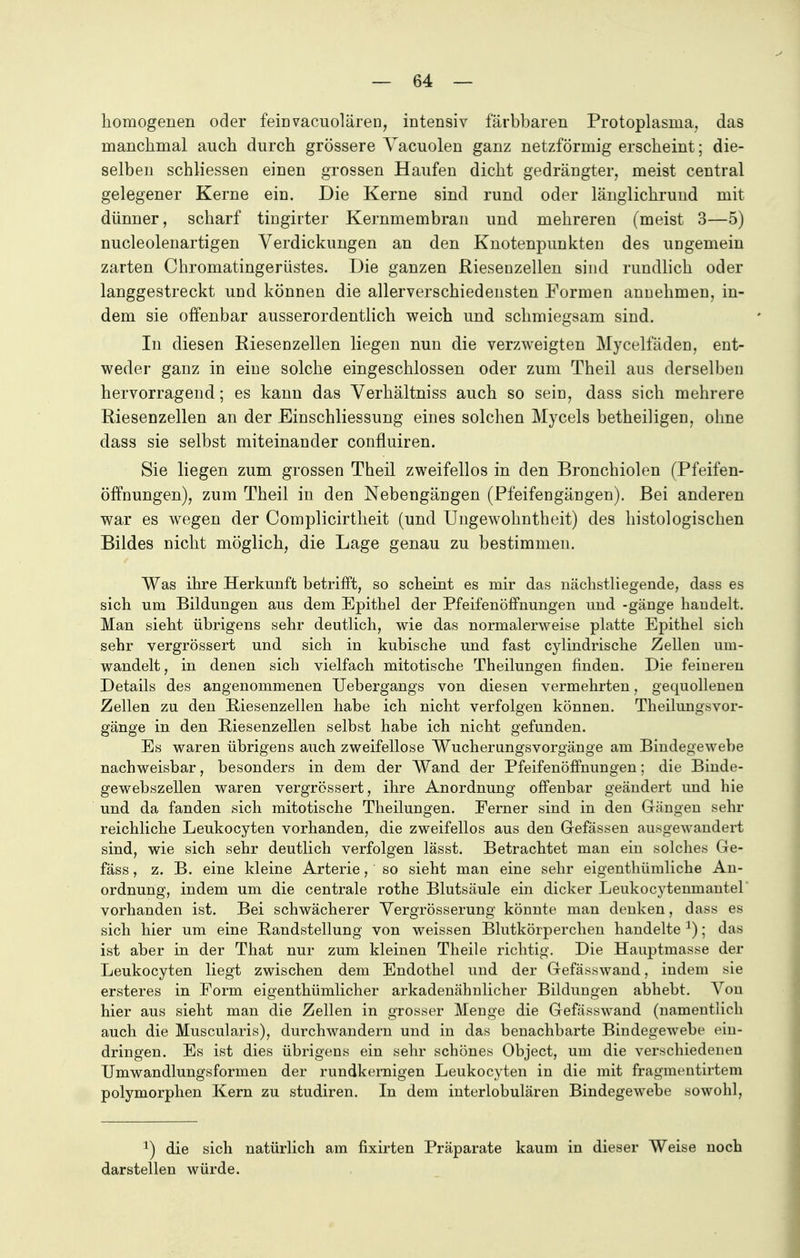 homogenen oder feinvacuolären, intensiv farbbaren Protoplasma, das manchmal auch durch grössere Vacuolen ganz netzförmig erscheint; die- selben schliessen einen grossen Haufen dicht gedrängter, meist central gelegener Kerne ein. Die Kerne sind rund oder länglichrund mit dünner, scharf tingirter Kernmembran und mehreren (meist 3—5) nucleolenartigen Verdickungen an den Knotenpunkten des ungemein zarten Chromatingerüstes. Die ganzen Riesenzellen sind rundlich oder langgestreckt und können die allerverschiedensten Formen annehmen, in- dem sie offenbar ausserordentlich weich und schmiegsam sind. In diesen Biesenzellen liegen nun die verzweigten Mycelfäden, ent- weder ganz in eine solche eingeschlossen oder zum Theil aus derselben hervorragend; es kann das Verhältniss auch so sein, dass sich mehrere Riesenzellen an der Einschliessung eines solchen Mycels betheiligen, ohne dass sie selbst miteinander confluiren. Sie liegen zum grossen Theil zweifellos in den Bronchiolen (Pfeifen- öffnungen), zum Theil in den Nebengängen (Pfeifengängen). Bei anderen war es wegen der Complicirtheit (und Ungewohntheit) des histologischen Bildes nicht möglich, die Lage genau zu bestimmen. Was ihre Herkunft betrifft, so scheint es mir das nächstliegende, dass es sich um Bildungen aus dem Epithel der Pfeifenöffnungen und -gänge handelt. Man sieht übrigens sehr deutlich, wie das normalerweise platte Epithel sich sehr vergrössert und sich in kubische und fast cylindrische Zellen um- wandelt , in denen sich vielfach mitotische Theilungen finden. Die feineren Details des angenommenen Uebergangs von diesen vermehrten, gequollenen Zellen zu den Riesenzellen habe ich nicht verfolgen können. Theilungsvor- gänge in den Riesenzellen selbst habe ich nicht gefunden. Es waren übrigens auch zweifellose Wucherungsvorgänge am Bindegewebe nachweisbar, besonders in dem der Wand der Pfeifenöffnungen; die Binde- gewebszellen waren vergrössert, ihre Anordnung offenbar geändert und hie und da fanden sich mitotische Theilungen. Ferner sind in den Gängen sehr reichliche Leukocyten vorhanden, die zweifellos aus den Gefässen ausgewandert sind, wie sich sehr deutlich verfolgen lässt. Betrachtet man ein solches Ge- fäss, z. B. eine kleine Arterie,' so sieht man eine sehr eigenthümliche An- ordnung, indem um die centrale rothe Blutsäule ein dicker Leukocytenmantel vorhanden ist. Bei schwächerer Vergrösserung könnte man denken, dass es sich hier um eine Randstellung von weissen Blutkörperchen handelte *); das ist aber in der That nur zum kleinen Theile richtig. Die Hauptmasse der Leukocyten liegt zwischen dem Endothel und der Gefässwand, indem sie ersteres in Form eigentümlicher arkadenähnlicher Bildungen abhebt. Von hier aus sieht man die Zellen in grosser Menge die Gefässwand (namentlich auch die Muscularis), durchwandern und in das benachbarte Bindegewebe ein- dringen. Es ist dies übrigens ein sehr schönes Object, um die verschiedenen Umwandlungsformen der rundkernigen Leukocyten in die mit fragmentirtem polymorphen Kern zu studiren. In dem interlobulären Bindegewebe sowohl, x) die sich natürlich am fixirten Präparate kaum in dieser Weise noch darstellen würde.