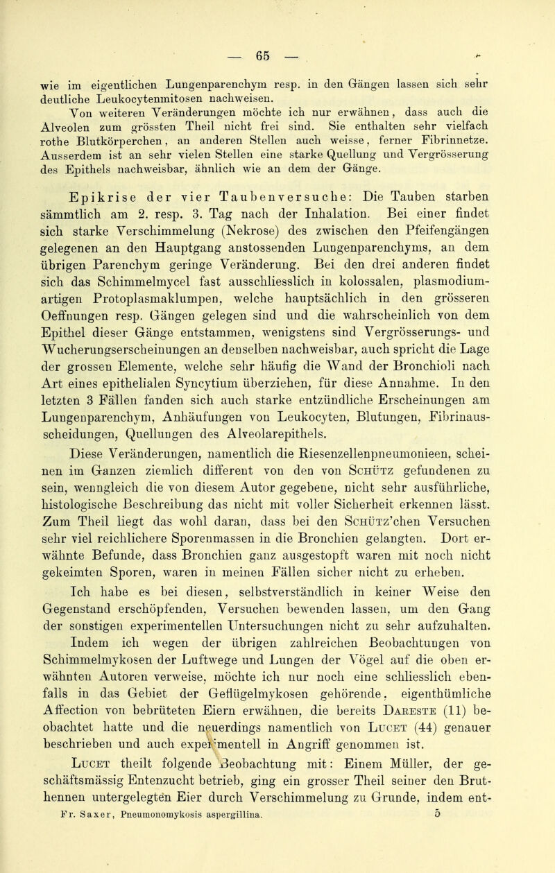 wie im eigentlichen Lungenparenchym resp. in den Gängen lassen sich sehr deutliche Leukocytemnitosen nachweisen. Yon weiteren Veränderungen möchte ich nur erwähnen, dass auch die Alveolen zum grössten Theil nicht frei sind. Sie enthalten sehr vielfach rothe Blutkörperchen, an anderen Stellen auch weisse, ferner Fibrinnetze. Ausserdem ist an sehr vielen Stellen eine starke Quellung und Yergrösserung des Epithels nachweisbar, ähnlich wie an dem der Gänge. Epikrise der vier Taubenversuche: Die Tauben starben sämmtlich am 2. resp. 3. Tag nach der Inhalation. Bei einer findet sich starke Verschimmelung (Nekrose) des zwischen den Pfeifengängen gelegenen an den Hauptgang anstossenden Lungenparenchyms, an dem übrigen Parenchym geringe Veränderung. Bei den drei anderen findet sich das Schimmelmycel fast ausschliesslich in kolossalen, plasmodium- artigen Protoplasmaklumpen, welche hauptsächlich in den grösseren Oeffnungen resp. Gängen gelegen sind und die wahrscheinlich von dem Epithel dieser Gänge entstammen, wenigstens sind Vergrösserungs- und Wucherungserscheinungen an denselben nachweisbar, auch spricht die Lage der grossen Elemente, welche sehr häufig die Wand der Bronchioli nach Art eines epithelialen Syncytium überziehen, für diese Annahme. In den letzten 3 Fällen fanden sich auch starke entzündliche Erscheinungen am Lungenparenchym, Anhäufungen von Leukocyten, Blutungen, Fibrinaus- scheidungen, Quellungen des Alveolarepithels. Diese Veränderungen, namentlich die Biesenzellenpneumonieen, schei- nen im Ganzen ziemlich different von den von Schütz gefundenen zu sein, wenngleich die von diesem Autor gegebene, nicht sehr ausführliche, histologische Beschreibung das nicht mit voller Sicherheit erkennen lässt. Zum Theil liegt das wohl daran, class bei den ScHÜTz'chen Versuchen sehr viel reichlichere Sporenmassen in die Bronchien gelangten. Dort er- wähnte Befunde, dass Bronchien ganz ausgestopft waren mit noch nicht gekeimten Sporen, waren in meinen Fällen sicher nicht zu erheben. Ich habe es bei diesen, selbstverständlich in keiner Weise den Gegenstand erschöpfenden, Versuchen bewenden lassen, um den Gang der sonstigen experimentellen Untersuchungen nicht zu sehr aufzuhalten. Indem ich wegen der übrigen zahlreichen Beobachtungen von Schimmelmykosen der Luftwege und Lungen der Vögel auf die oben er- wähnten Autoren verweise, möchte ich nur noch eine schliesslich eben- falls in das Gebiet der Geflügelmykosen gehörende, eigentümliche Affection von bebrüteten Eiern erwähnen, die bereits Dareste (11) be- obachtet hatte und die neuerdings namentlich von Lucet (44) genauer beschrieben und auch expermentell in Angriff genommen ist. Lucet theilt folgende Beobachtung mit: Einem Müller, der ge- schäftsmässig Entenzucht betrieb, ging ein grosser Theil seiner den Brut- hennen untergelegten Eier durch Verschimmelung zu Grunde, indem ent- Fr. Saxer, Pneumonomykosis aspergillina. 5
