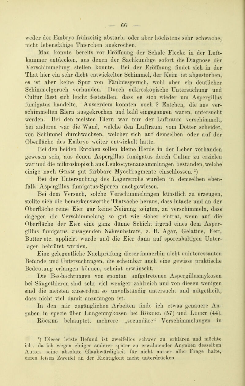 weder der Embryo frühzeitig abstarb, oder aber höchstens sehr schwache, nicht lebensfähige Thierchen auskrochen. Man konnte bereits vor Eröffnung der Schale Flecke in der Luft- kammer entdecken, aus denen der Sachkundige sofort die Diagnose der Verschimmelung stellen konnte. Bei der Eröffnung findet sich in der That hier ein sehr dicht entwickelter Schimmel, der Keim ist abgestorben, es ist aber keine Spur von Fäulnissgeruch, wohl aber ein deutlicher Schimmelgeruch vorhanden. Durch mikroskopische Untersuchung und Cultur lässt sich leicht feststellen, dass es sich wieder um Aspergillus fumigatus handelte. Ausserdem konnten noch 2 Entchen, die aus ver- schimmelten Eiern ausgekrochen und bald eingegangen waren, untersucht werden. Bei den meisten Eiern war nur der Luftraum verschimmelt, bei anderen war die Wand, welche den Luftraum vom Dotter scheidet, von Schimmel durchwachsen, welcher sich auf demselben oder auf der Oberfläche des Embryo weiter entwickelt hatte. Bei den beiden Entchen sollen kleine Herde in der Leber vorhanden gewesen sein, aus denen Aspergillus fumigatus durch Cultur zu erzielen war und die mikroskopisch aus Leukocytenansammlungen bestanden, welche einige nach G-eam gut färbbare Mycelfragmente einschlössen.J) Bei der Untersuchung des Lagerstrohs wurden in demselben eben- falls Aspergillus fumigatus-Sporen nachgewiesen. Bei dem Versuch, solche Verschimmelungen künstlich zu erzeugen, stellte sich die bemerkenswerthe Thatsache heraus, dass intacte und an der Oberfläche reine Eier gar keine Neigung zeigten, zu verschimmeln, dass dagegen die Verschimmelung so gut wie sicher eintrat, wenn auf die Oberfläche der Eier eine ganz dünne Schicht irgend eines dem Asper- gillus fumigatus zusagenden Nährsubstrats, z. B. Agar, Gelatine, Fett, Butter etc. applicirt wurde und die Eier dann auf sporenhaltigen Unter- lagen bebrütet wurden. Eine gelegentliche Nachprüfung dieser immerhin nicht uninteressanten Befunde und Untersuchungen, die scheinbar auch eine gewisse praktische Bedeutung erlangen können, scheint erwünscht. Die Beobachtungen von spontan aufgetretenen Aspergillusmykosen bei Säugethieren sind sehr viel weniger zahlreich und von diesen wenigen sind die meisten ausserdem so unvollständig untersucht und mitgetheilt, dass nicht viel damit anzufangen ist. In den mir zugänglichen Arbeiten rinde ich etwas genauere An- gaben in specie über Lungenmykosen bei Bökcel (57) und Lucet (44). Bockel behauptet, mehrere „secundäre Verschimmelungen in 3) Dieser letzte Befund ist zweifellos schwer zu erklären und möchte ich, da ich wegen einiger anderer später zu erwähnender Angaben desselben Autors seine absolute Glaubwürdigkeit für nicht ausser aller Frage halte, einen leisen Zweifel an der Richtigkeit nicht unterdrücken.