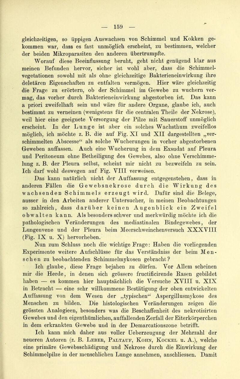 gleichzeitigen, so üppigen Auswachsen von Schimmel und Kokken ge- kommen war, dass es fast unmöglich erscheint, zu bestimmen, welcher der beiden Mikroparasiten den anderen übertrumpfte. Worauf diese Beeinflussung beruht, geht nicht genügend klar aus meinen Befunden hervor, sicher ist wohl aber, dass die Schimmel- vegetationen sowohl mit als ohne gleichzeitige Bakterieneinwirkung ihre deletären Eigenschaften zu entfalten vermögen. Hier wäre gleichzeitig die Frage zu erörtern, ob der Schimmel im Gewebe zu wuchern ver- mag, das vorher durch Bakterieneinwirkung abgestorben ist. Das kann a priori zweifelhaft sein und wäre für andere Organe, glaube ich, auch bestimmt zu verneinen (wenigstens für die centralen Theile der Nekrose), weil hier eine geeignete Versorgung der Pilze mit Sauerstoff unmöglich erscheint. In der Lunge ist aber ein solches Wachsthum zweifellos möglich, ich möchte z. B. die auf Fig. XI und XII dargestellten „ver- schimmelten Abscesse als solche Wucherungen in vorher abgestorbenen Geweben auffassen. Auch eine Wucherung in dem Exsudat auf Pleura und Peritoneum ohne Betheiligung des Gewebes, also ohne Verschimme- lung z. B. der Pleura selbst, scheint mir nicht zu bezweifeln zu sein. Ich darf wohl deswegen auf Fig. VIII verweisen. Das kann natürlich nicht der Auffassung entgegenstehen, dass in anderen Fällen die Gewebsnekrose durch die Wirkung des wachsenden Schimmels erzeugt wird. Dafür sind die Belege, ausser in den Arbeiten anderer Untersucher, in meinen Beobachtungen so zahlreich, dass darüber keinen Augenblick ein Zweifel obwalten kann. Als besonders schwer und merkwürdig möchte ich die pathologischen Veränderungen des mediastinalen Bindegewebes, der Lungenvene und der Pleura beim Meerschweinchenversuch XXXVIII (Fig. IX u. X) hervorheben. Nun zum Schluss noch die wichtige Frage: Haben die vorliegenden Experimente weitere Aufschlüsse für das Verständniss der beim Men- schen zu beobachtenden Schimmelmykosen gebracht? Ich glaube, diese Frage bejahen zu dürfen. Vor Allem scheinen mir die Herde, in denen sich grössere fructificirende Rasen gebildet haben — es kommen hier hauptsächlich die Versuche XVIII u. XIX in Betracht — eine sehr willkommene Bestätigung der oben entwickelten Auffassung von dem Wesen der „typischen Aspergillusmykose des Menschen zu bilden. Die histologischen Veränderungen zeigen die grössten Analogieen, besonders was die Beschaffenheit des nekrotisirten Gewebes und den eigenthümlichen, auffallenden Zerfall der Eiterkörperchen in dem erkrankten Gewebe und in der Demarcationszone betrifft. Ich kann mich daher aus voller Ueberzeugung der Mehrzahl der neueren Autoren (z. B. Lebee, Paltaue, Kohn, Rockel u. A.), welche eine primäre Gewebsschädigung und Nekrose durch die Einwirkung der Schimmelpilze in der menschlichen Lunge annehmen, anschliessen. Damit