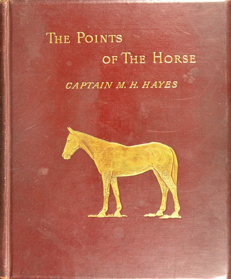 The Poi of The Horse