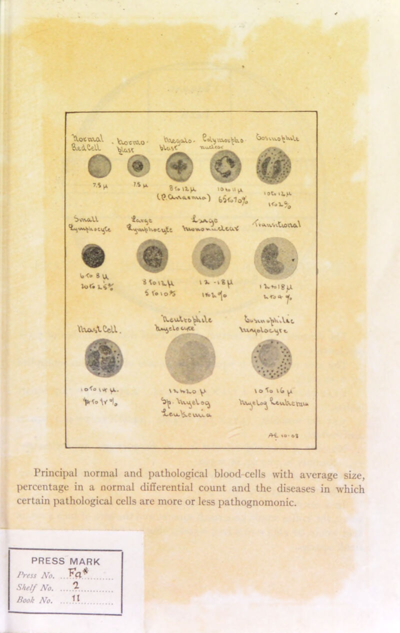 Principal normal and pathological blood cells with average size, percentage in a normal differential count and the diseases in which certain pathological cells are more or less pathognomonic. PRESS MARK Press No. .. Fa* Shelf No. .. Book No. .. 11