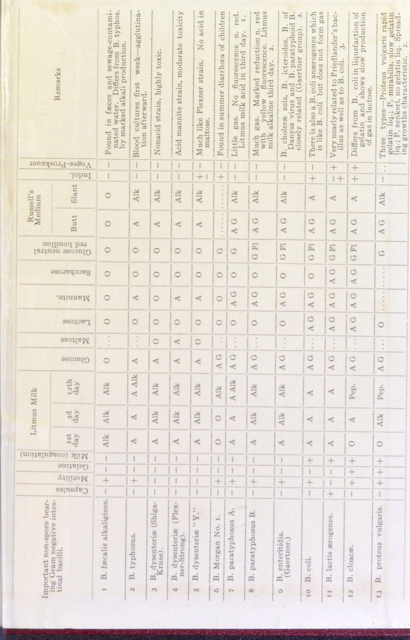 W £° <3*S 1 a! C >» 4J 0 C TJ C 0 u •c red. 1. red mus Cffl « • *o . hich gas ■ 0 rt J2 O g c S.S-o Remarks ound in faces and sewage-cont natcd water. Differs from B. ty] by marked alkali production. ood cultures first week—agglu tion afterward. onacid strain, highly toxic. X 0 4-» 0) «3 u V •O O 6 c *5 u +» 09 O 4-» C c cd E •d luch like Flcxner strain. No ac maltose. 1c 0 *4-1 c c3 8 jz G 4 _rt •3 u 0 E 5 3 05 G TJ C 3 ttle gas. No fluorescence n. Litmus milk acid in third day. uch gas. Marked reduction n. with yellow fluorescence. Lit milk alkaline third day. 2. cholera suis, B. icteroides, E Danysz virus and B. paratyphoi closely related (Gaertner group) lere is also a B. coli anaerogencs w is like B. coli but does not form •ry nearly related to Friedlander’s illus as well as to B. coli. 3. iffers from B. coli in liquefactio gelatin and shows slow produc of gas in lactose. iree types—Proteus vulgaris ri elatin liq.; P. mirabilis, slow gel q.; P. zenkeri, no gelatin liq. Spr ig growths characteristic. 2. Eg 5 Z < 2 t, 2 S3 > Q £ janejjso-id -so3o,\ 1 1 1 1 1 l 1 1 1 1 1 + + •|opui 1 l 1 1 + 1 +1 1 1 1 + 1 + + 1 ssell’s lium Slant o Aik Aik Aik Aik Aik Aik Aik < < < Aik = 5 o < < < < O O O O O O O a < < < < < < < uojpnoq paj _ — IBJ^nau osodhiq o O O O O 0 O £4 G O O O O O osoiuqooBg o O O O O 0 O O O O O < A G •a^iuuBj^ o < O < < 0 O O O O O O < < < < < < aso;oBq o O O O O 0 O O O O O O O 1-——— < < < 3SO}|«JV O < O ♦ ; asoDnjQ o < < < < 0 O O O O O O O — < < < < < < < < •C s. ~ 2-3 Aik A Aik Aik Aik Aik Aik A Aik M < < < < Pep. Pep. I •£. — — P ^ M ' I 4 4-1 | _________ Aik < Aik Aik < O < Aik Aik < < < Aik ^ S >> M ! m-3 (UOIlBinSBoa) juitv < < < < < O < < < < < O O I I — 3UUO|3Q 1 1 1 + + + + i 1 1 1 1 1 1 1 1 1 1 1 1 1 + + + + 1 1 1 1 1 1 + + + + + 1 1 + + S3[nsdB3 i 1 1 1 1 | 1 1 1 1 1 1 + 1 1 s i M V 3 X O 4J ^ c c ’5 3C jc JL) E > < si n 4 Sg a-> M - g “ . §ci ■w E o a a « rtt-3 13 3 « *3 0 fi ui 3 O JZ O. >* 4-* dysenteria (S Cruse). dyscnteria ( ier-Strong). 8 U C I >. •d d 2 c CS M u 0 2 3 JZ 0. >* 4-> a u - 0, 0) 3 JZ a >% 4> i u 1 a enteritidis. Saertner.) O O C B 00 u H « 4-> O 8 0 rt JD *3 > to 3 4-* O u a u ^ *3 &sl E--« a ffl ffl n • G CQ TT d OJ d 0 d d 00 dw a d 0 a M d rt d  M