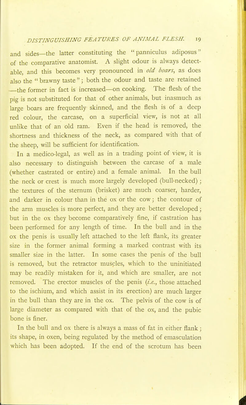 and sides—the latter constituting the  panniculus adiposus of the comparative anatomist. A shght odour is always detect- able, and this becomes very pronounced in old boars, as does also the  brawny taste ; both the odour and taste are retained —the former in fact is increased—on cooking. The flesh of the pig is not substituted for that of other animals, but inasmuch as large boars are frequently skinned, and the flesh is of a deep red colour, the carcase, on a superficial view, is not at all unlike that of an old ram. Even if the head is removed, the shortness and thickness of the neck, as compared with that of the sheep, will be sufficient for identification. In a medico-legal, as well as in a trading point of view, it is also necessary to distinguish between the carcase of a male (whether castrated or entire) and a female animal. In the bull the neck or crest is much more largely developed (bul^necked); the textures of the sternum (brisket) are much coarser, harder, and darker in colour than in the ox or the cow; the contour of the arm muscles is more perfect, and they are better developed; but in the ox they become comparatively fine, if castration has been performed for any length of time. In the bull and in the ox the penis is usually left attached to the left flank, its greater size in the former animal forming a marked contrast with its smaller size in the latter. In some cases the penis of the bull is removed, but the retractor muscles, which to the uninitiated may be readily mistaken for it, and which are smaller, are not removed. The erector muscles of the penis (i.e., those attached to the ischium, and which assist in its erection) are much larger in the bull than they are in the ox. The pelvis of the cow is of large diameter as compared with that of the ox, and the pubic bone is finer. In the bull and ox there is always a mass of fat in either flank; its shape, in oxen, being regulated by the method of emasculation which has been adopted. If the end of the scrotum has been