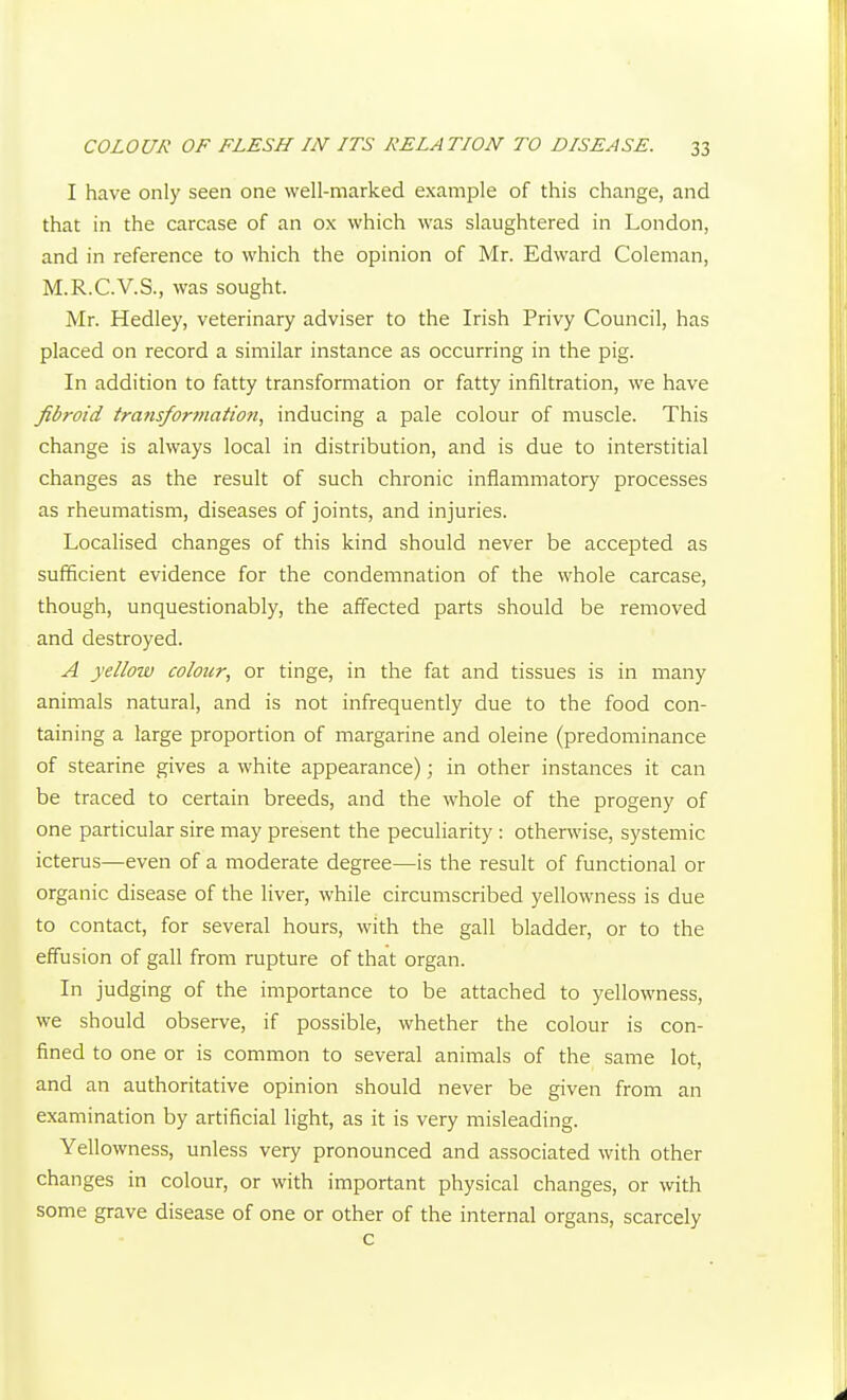 I have only seen one well-marked example of this change, and that in the carcase of an ox which was slaughtered in London, and in reference to which the opinion of Mr. Edward Coleman, M.R.C.V.S., was sought. Mr. Hedley, veterinary adviser to the Irish Privy Council, has placed on record a similar instance as occurring in the pig. In addition to fatty transformation or fatty infiltration, we have fibroid transfortnation, inducing a pale colour of muscle. This change is always local in distribution, and is due to interstitial changes as the result of such chronic inflammatory processes as rheumatism, diseases of joints, and injuries. Localised changes of this kind should never be accepted as sufficient evidence for the condemnation of the whole carcase, though, unquestionably, the affected parts should be removed and destroyed. A yellow colour, or tinge, in the fat and tissues is in many animals natural, and is not infrequently due to the food con- taining a large proportion of margarine and oleine (predominance of stearine gives a white appearance); in other instances it can be traced to certain breeds, and the whole of the progeny of one particular sire may present the peculiarity: otherwise, systemic icterus—even of a moderate degree—is the result of functional or organic disease of the liver, while circumscribed yellowness is due to contact, for several hours, with the gall bladder, or to the effusion of gall from rupture of that organ. In judging of the importance to be attached to yellowness, we should observe, if possible, whether the colour is con- fined to one or is common to several animals of the same lot, and an authoritative opinion should never be given from an examination by artificial light, as it is very misleading. Yellowness, unless very pronounced and associated with other changes in colour, or with important physical changes, or with some grave disease of one or other of the internal organs, scarcely