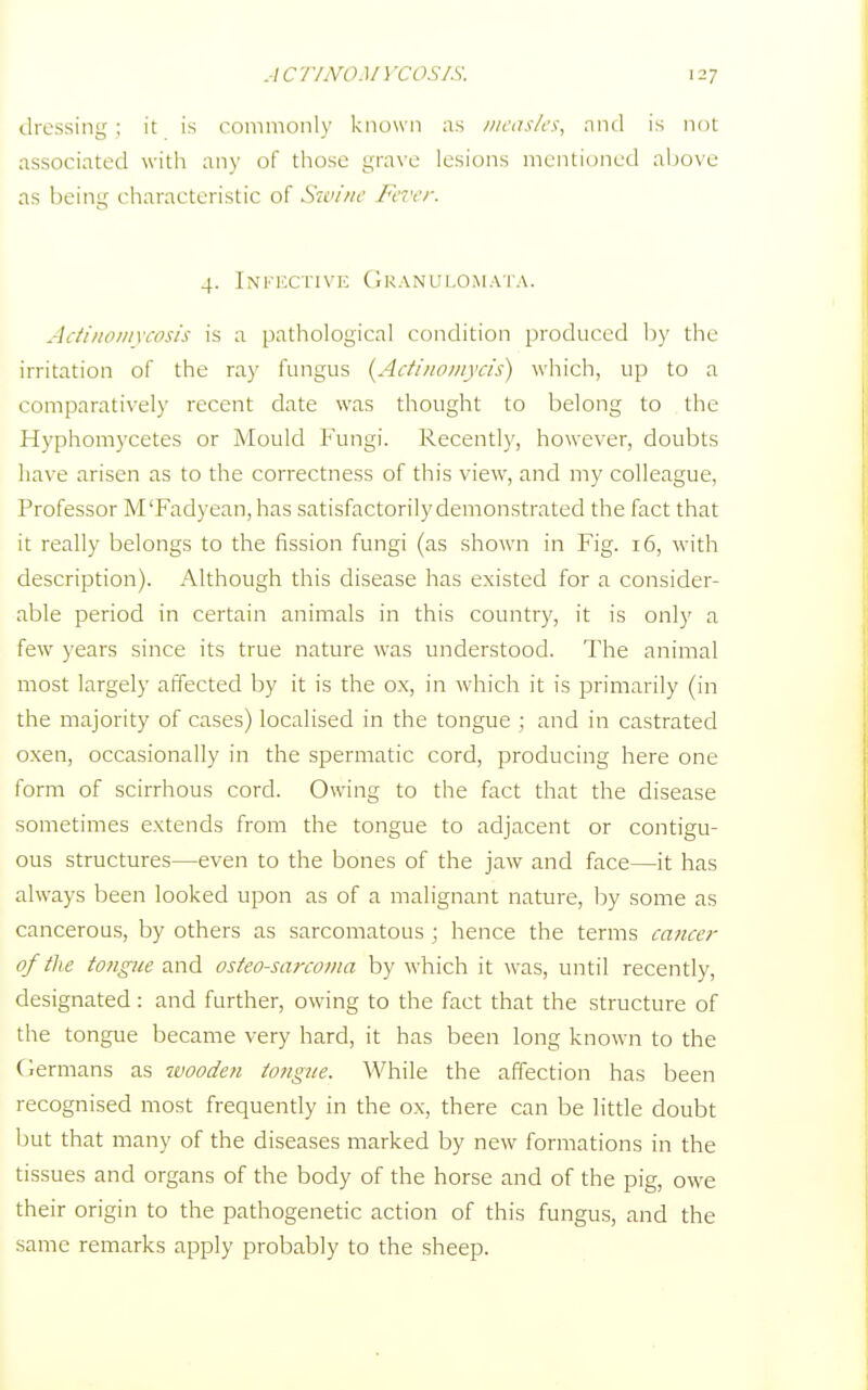 dressing ; it is commonly known as measles, and is not associated with any of those grave lesions mentioned above- as being characteristic of Swine Fever. 4. Infective Granulomata. Actinomycosis is a pathological condition produced by the irritation of the ray fungus (Actinomycis) which, up to a comparatively recent date was thought to belong to the Hyphomycetes or Mould Fungi. Recently, however, doubts have arisen as to the correctness of this view, and my colleague, Professor M'Fadyean,has satisfactorily demonstrated the fact that it really belongs to the fission fungi (as shown in Fig. 16, with description). Although this disease has existed for a consider- able period in certain animals in this country, it is only a few years since its true nature was understood. The animal most largely affected by it is the ox, in which it is primarily (in the majority of cases) localised in the tongue ; and in castrated oxen, occasionally in the spermatic cord, producing here one form of scirrhous cord. Owing to the fact that the disease sometimes extends from the tongue to adjacent or contigu- ous structures—even to the bones of the jaw and face—it has always been looked upon as of a malignant nature, by some as cancerous, by others as sarcomatous ; hence the terms ca?icer of the tongue and osteosarcoma by which it was, until recently, designated: and further, owing to the fact that the structure of the tongue became very hard, it has been long known to the Germans as wooden tongue. While the affection has been recognised most frequently in the ox, there can be little doubt but that many of the diseases marked by new formations in the tissues and organs of the body of the horse and of the pig, owe their origin to the pathogenetic action of this fungus, and the same remarks apply probably to the sheep.