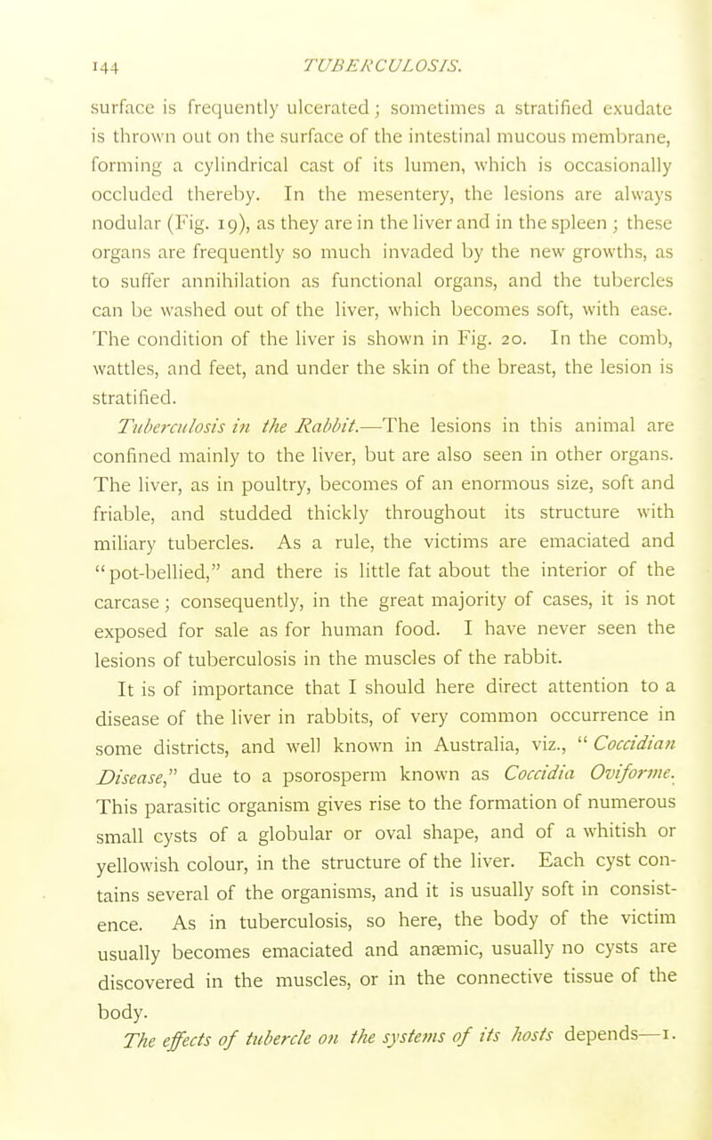 surface is frequently ulcerated; sometimes a stratified exudate is thrown out on the surface of the intestinal mucous membrane, forming a cylindrical cast of its lumen, which is occasionally occluded thereby. Tn the mesentery, the lesions are always nodular (Fig. 19), as they are in the liver and in the spleen ; these organs are frequently so much invaded by the new growths, as to suffer annihilation as functional organs, and the tubercles can be washed out of the liver, which becomes soft, with ease. The condition of the liver is shown in Fig. 20. In the comb, wattles, and feet, and under the skin of the breast, the lesion is stratified. Tuberculosis in the Rabbit.—The lesions in this animal are confined mainly to the liver, but are also seen in other organs. The liver, as in poultry, becomes of an enormous size, soft and friable, and studded thickly throughout its structure with miliary tubercles. As a rule, the victims are emaciated and pot-bellied, and there is little fat about the interior of the carcase; consequently, in the great majority of cases, it is not exposed for sale as for human food. I have never seen the lesions of tuberculosis in the muscles of the rabbit. It is of importance that I should here direct attention to a disease of the liver in rabbits, of very common occurrence in some districts, and well known in Australia, viz.,  Coccidian Disease due to a psorosperm known as Coccidia Oviforme. This parasitic organism gives rise to the formation of numerous small cysts of a globular or oval shape, and of a whitish or yellowish colour, in the structure of the liver. Each cyst con- tains several of the organisms, and it is usually soft in consist- ence. As in tuberculosis, so here, the body of the victim usually becomes emaciated and anaemic, usually no cysts are discovered in the muscles, or in the connective tissue of the body. The effects of tubercle on the systems of its hosts depends— 1.