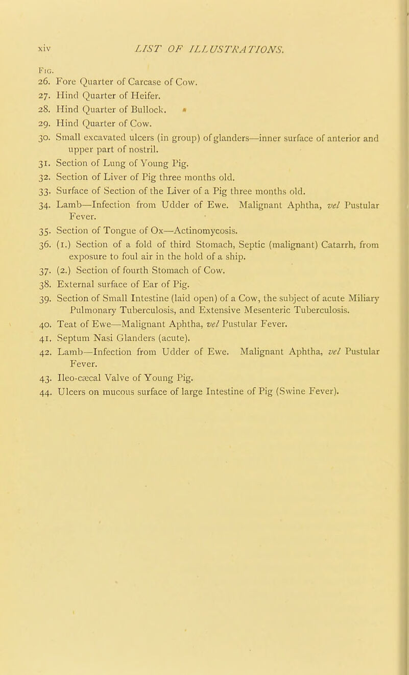 Kic. 26. Fore Quarter of Carcase of Cow. 27. Hind Quarter of Heifer. 28. Hind Quarter of Bullock. • 29. Hind Quarter of Cow. 30. Small excavated ulcers (in group) of glanders—inner surface of anterior and upper part of nostril. 31. Section of Lung of Young Pig. 32. Section of Liver of Pig three months old. 33. Surface of Section of the Liver of a Pig three months old. 34. Lamb—Infection from Udder of Ewe. Malignant Aphtha, vel Pustular Fever. 35. Section of Tongue of Ox—Actinomycosis. 36. (i.) Section of a fold of third Stomach, Septic (malignant) Catarrh, from exposure to foul air in the hold of a ship. 37. (2.) Section of fourth Stomach of Cow. 38. External surface of Ear of Pig. 39. Section of Small Intestine (laid open) of a Cow, the subject of acute Miliarj' Pulmonary Tuberculosis, and Extensive Mesenteric Tuberculosis. 40. Teat of Ewe—Malignant Aphtha, vel Pustular Fever. 41. Septum Nasi Glanders (acute). 42. Lamb—Infection from Udder of Ewe. Malignant Aphtha, vel Pustular Fever. 43. Ileo-CBEcal Valve of Young Pig. 44. Ulcers on mucous surface of large Intestine of Pig (Swine Fever).