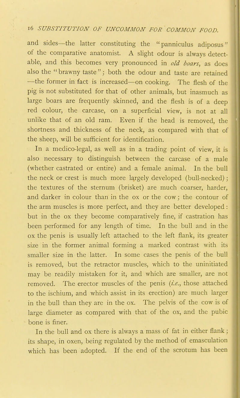 and sides—the latter constituting the “panniculus adiposus” of the comparative anatomist. A slight odour is always detect- able, and this becomes very pronounced in old boars, as does also the “ brawny taste ”; both the odour and taste are retained —the former in fact is increased—on cooking. The flesh of the pig is not substituted for that of other animals, but inasmuch as large boars are frequently skinned, and the flesh is of a deep red colour, the carcase, on a superficial view, is not at all unlike that of an old ram. Even if the head is removed, the shortness and thickness of the neck, as compared with that of the sheep, will be sufficient for identification. In a medico-legal, as well as in a trading point of view, it is also necessary to distinguish between the carcase of a male (whether castrated or entire) and a female animal. In the bull the neck or crest is much more largely developed (bull-necked); the textures of the sternum (brisket) are much coarser, harder, and darker in colour than in the ox or the cow; the contour of the arm muscles is more perfect, and they are better developed; but in the ox they become comparatively fine, if castration has been performed for any length of time. In the bull and in the ox the penis is usually left attached to the left flank, its greater size in the former animal forming a marked contrast with its smaller size in the latter. In some cases the penis of the bull is removed, but the retractor muscles, which to the uninitiated may be readily mistaken for it, and which are smaller, are not removed. The erector muscles of the penis {i.e., those attached to the ischium, and which assist in its erection) are much larger in the bull than they are in the ox. The pelvis of the cow is of large diameter as compared with that of the ox, and the pubic bone is finer. In the bull and ox there is always a mass of fat in either flank; its shape, in oxen, being regulated by the method of emasculation which has been adopted. If the end of the scrotum has been r