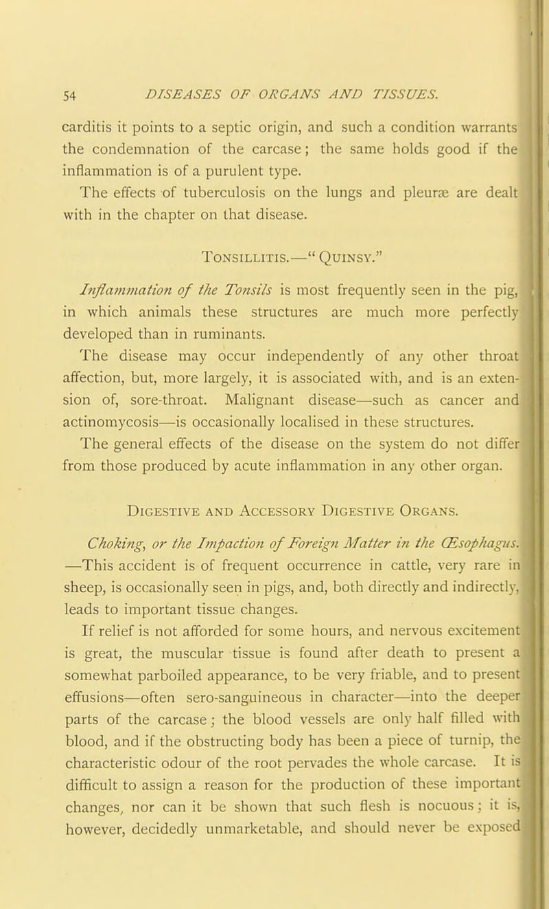 carditis it points to a septic origin, and such a condition warrants the condemnation of the carcase; the same holds good if the inflammation is of a purulent type. The effects of tuberculosis on the lungs and pleurae are dealt with in the chapter on that disease. Tonsillitis.—“ Quinsy.” Inflammation of the Tonsils is most frequently seen in the pig, in which animals these structures are much more perfectly developed than in ruminants. The disease may occur independently of any other throat affection, but, more largely, it is associated with, and is an exten- sion of, sore-throat. Malignant disease—such as cancer and actinomycosis—is occasionally localised in these structures. The general effects of the disease on the system do not differ from those produced by acute inflammation in any other organ. Digestive and Accessory Digestive Org.a,ns. Choking., or the Impaction of Foreign Matter in the CEsophagus. —This accident is of frequent occurrence in cattle, very rare in sheep, is occasionally seen in pigs, and, both directly and indirectly, leads to important tissue changes. If relief is not afforded for some hours, and nervous excitement is great, the muscular tissue is found after death to present a somewhat parboiled appearance, to be very friable, and to present effusions—often sero-sanguineous in character—into the deeper parts of the carcase; the blood vessels are only half filled with blood, and if the obstructing body has been a piece of turnip, the characteristic odour of the root pervades the whole carcase. It is difficult to assign a reason for the production of these important changes, nor can it be shown that such flesh is nocuous; it is, however, decidedly unmarketable, and should never be exposed^