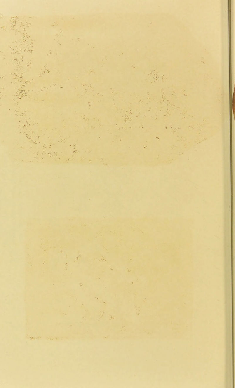 \ ' -■ V ^ ; • -fr. w.- V