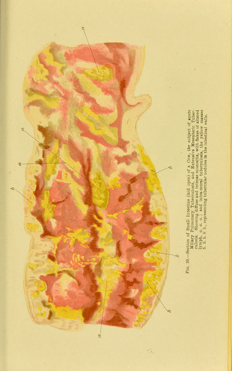 • cn 5 ol ® . 3 © » 02 3 eS ^ ■<'3 S I 3 cc o g 3^ ®-S - S © 'f1 Ba 3 «> Ss 3 •** 3 to c
